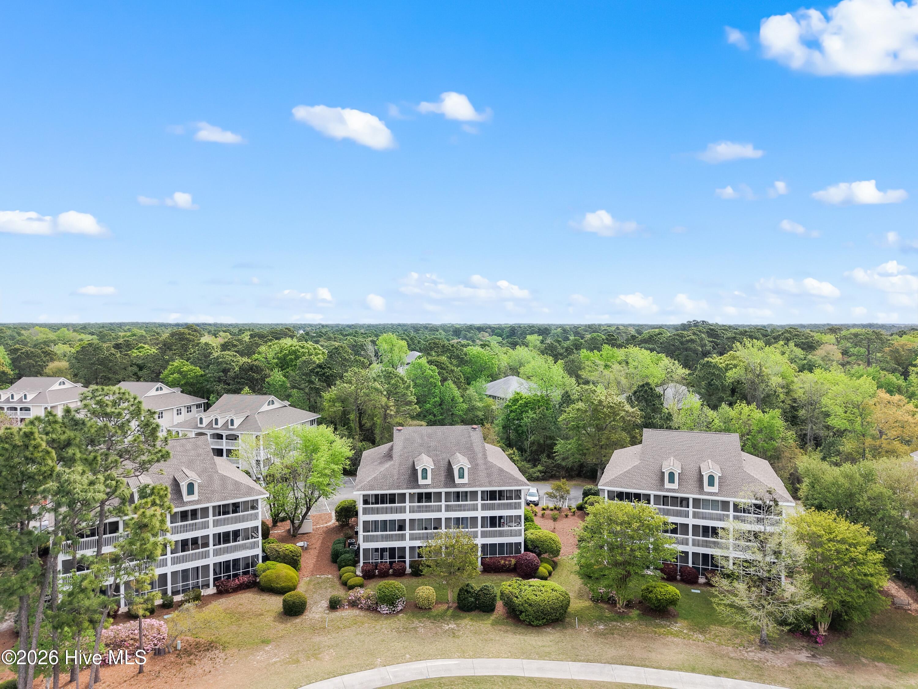 100565554 | Photo 46