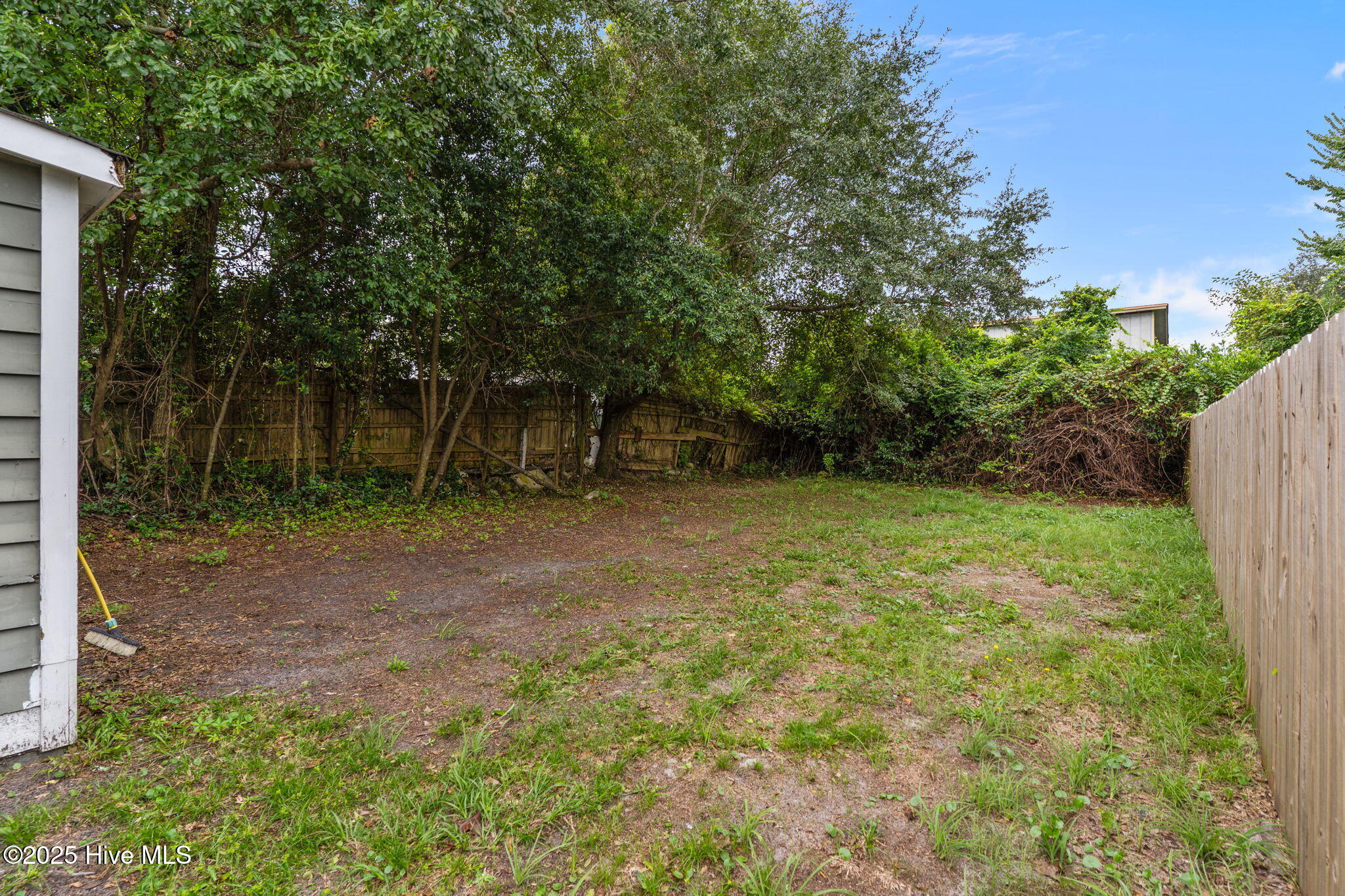 100528718 | Photo 31