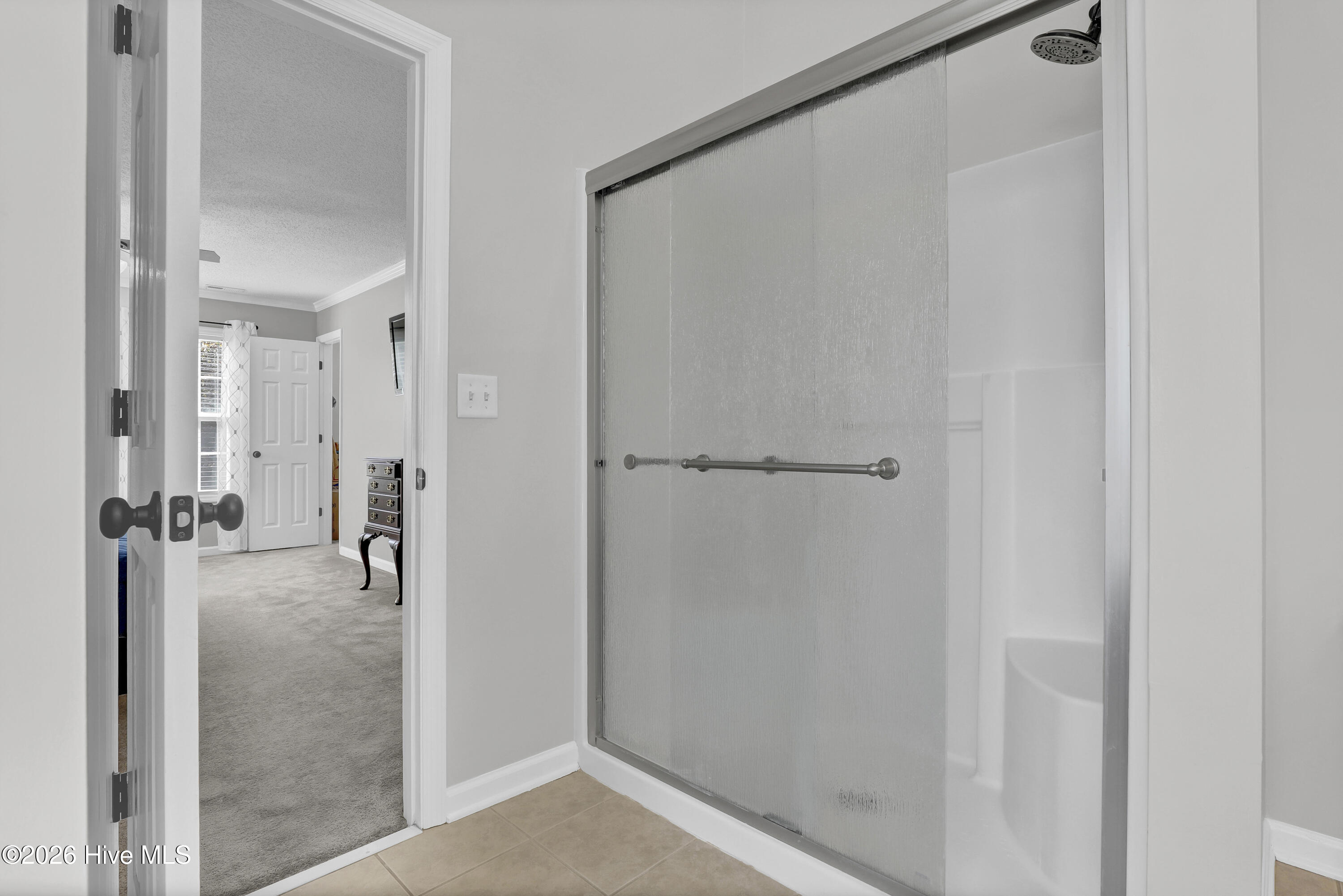 100556725 | Photo 25