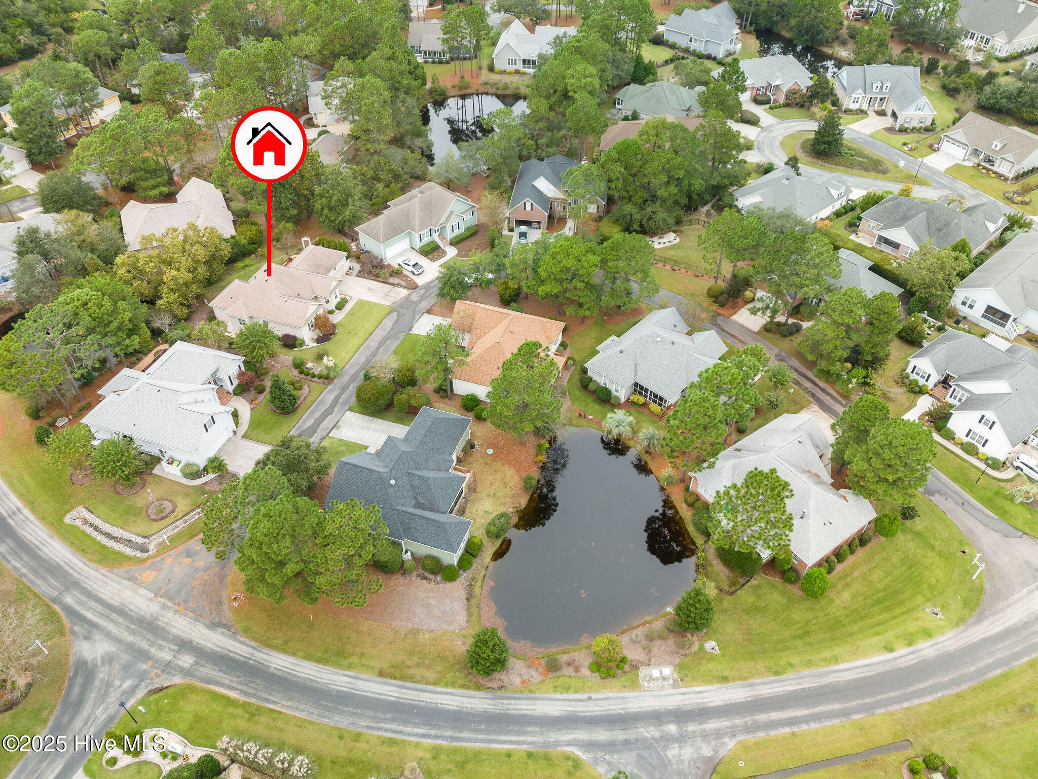 100537327 | Photo 49