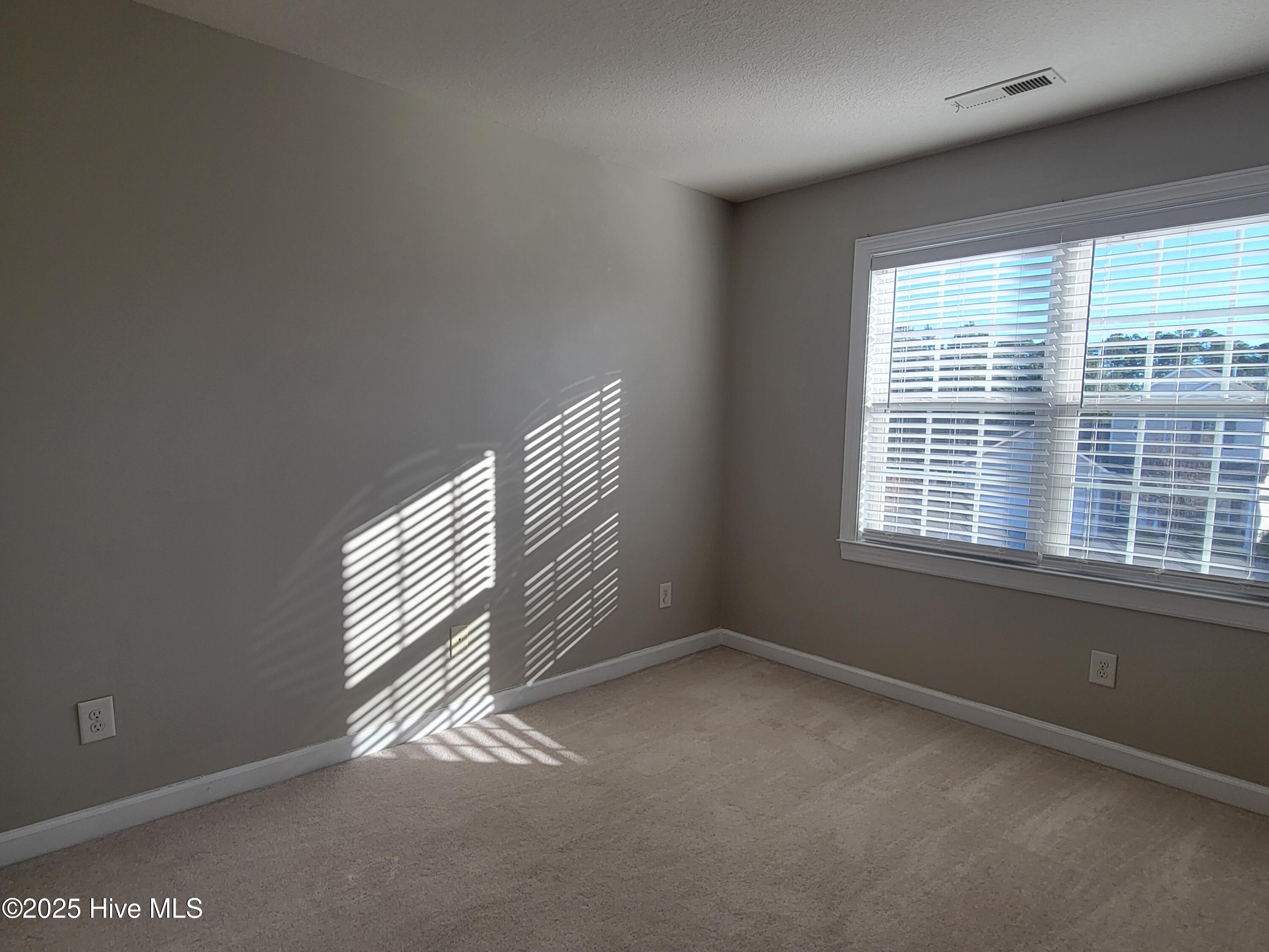 100537987 | Photo 14