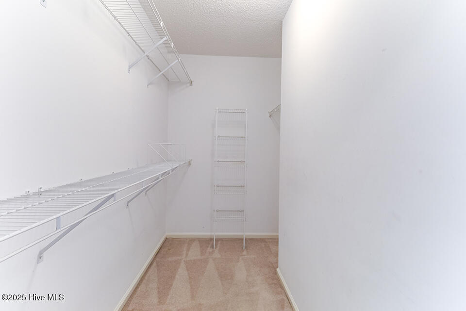 100539365 | Photo 19