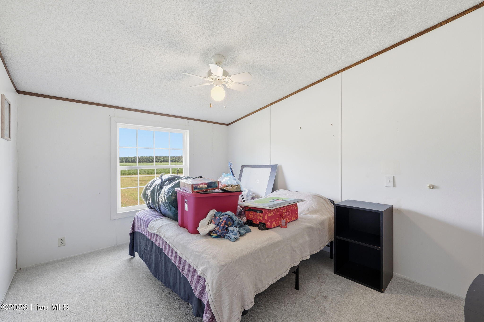 252 Heath Swamp Road,Cove City