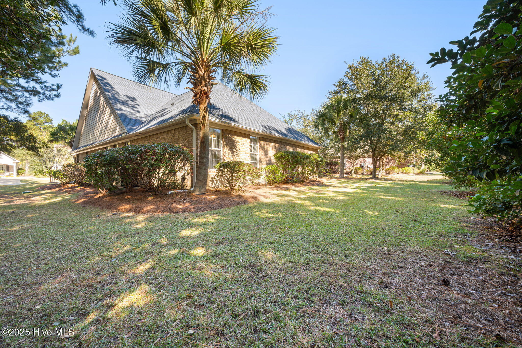 100538167 | Photo 36