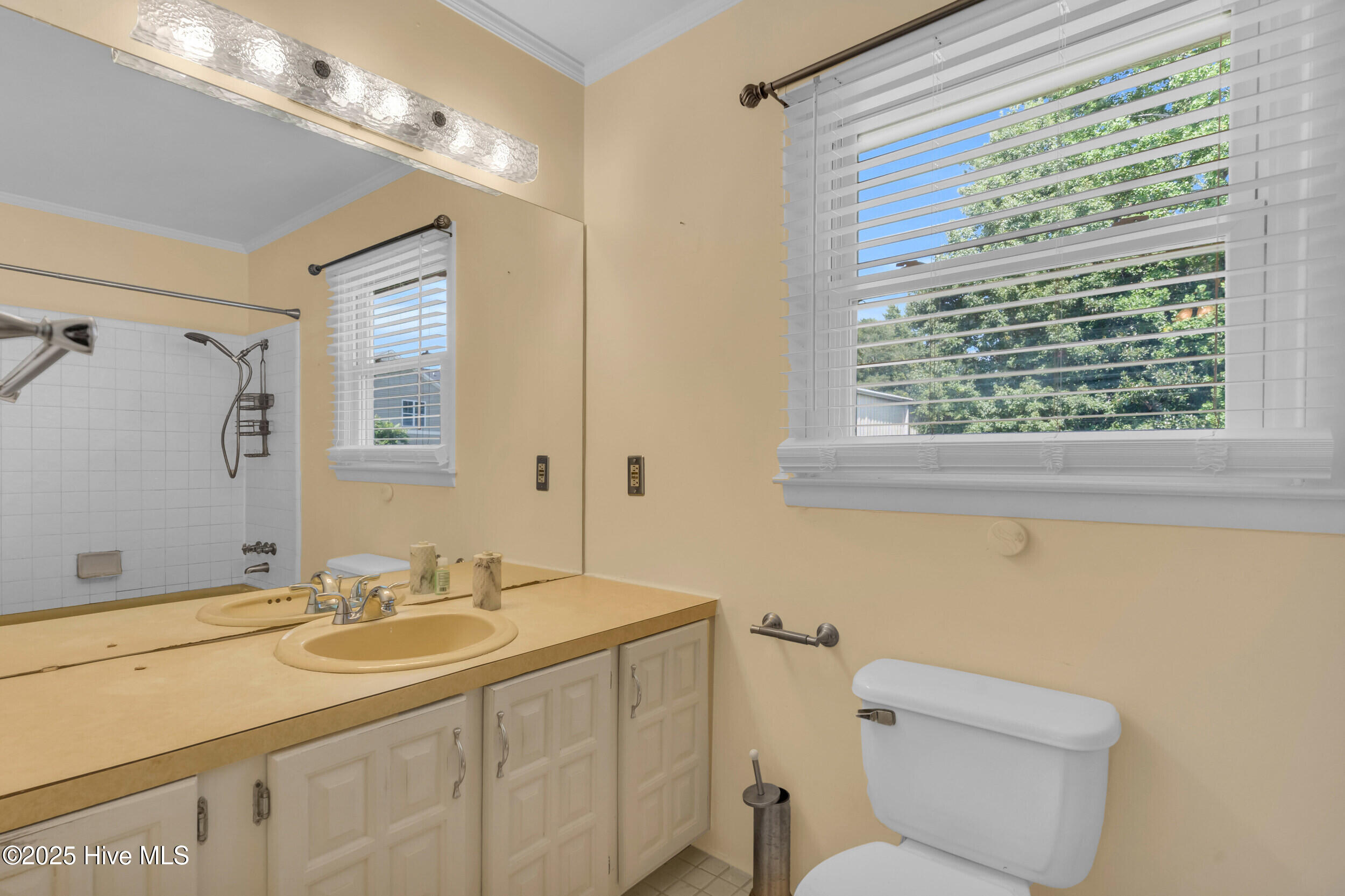 100526914 | Photo 13