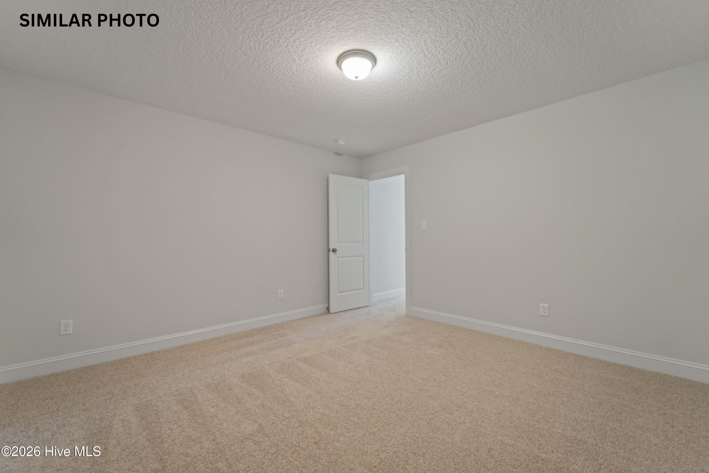 100556384 | Photo 31