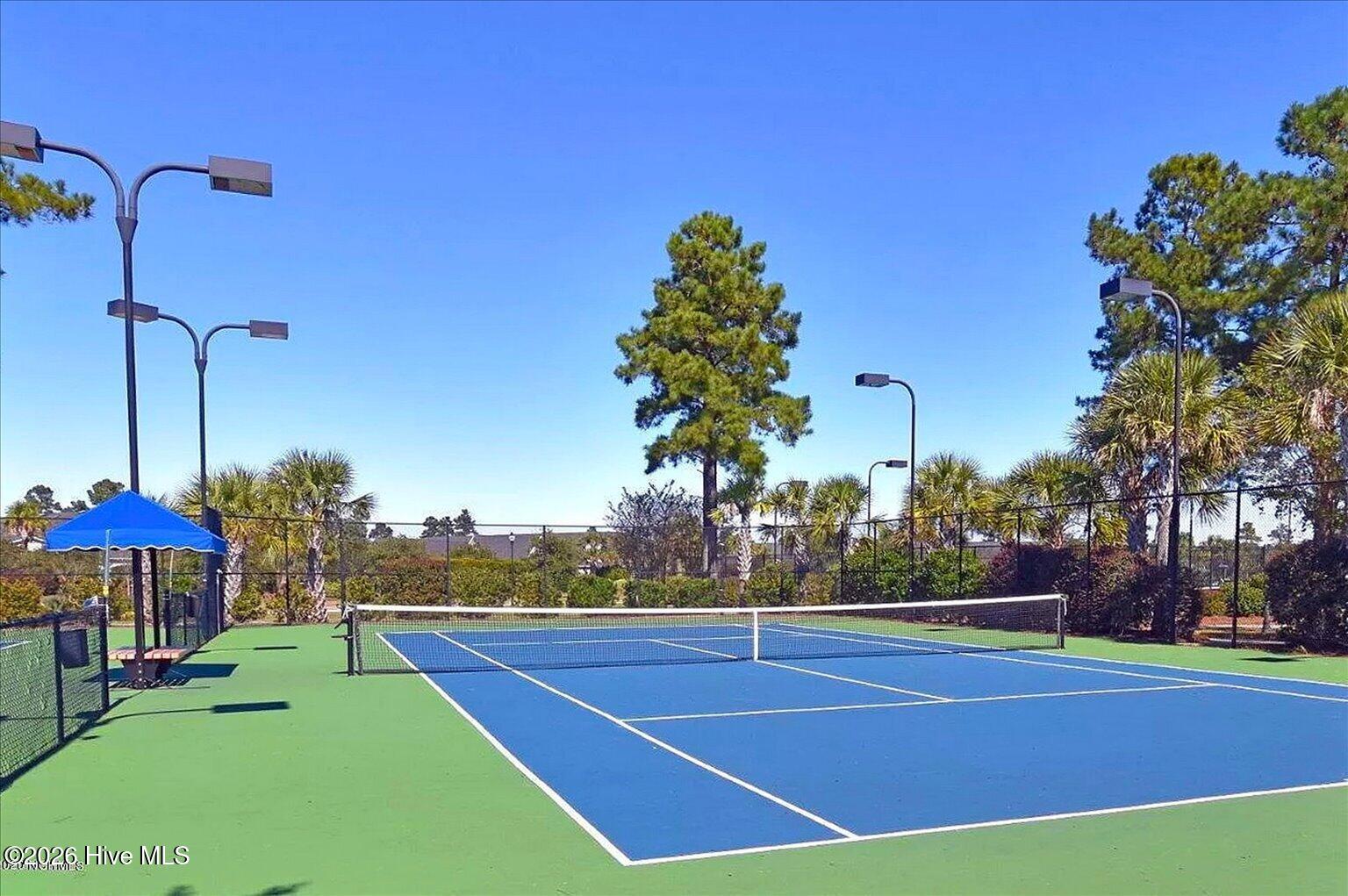 100557521 | Photo 64