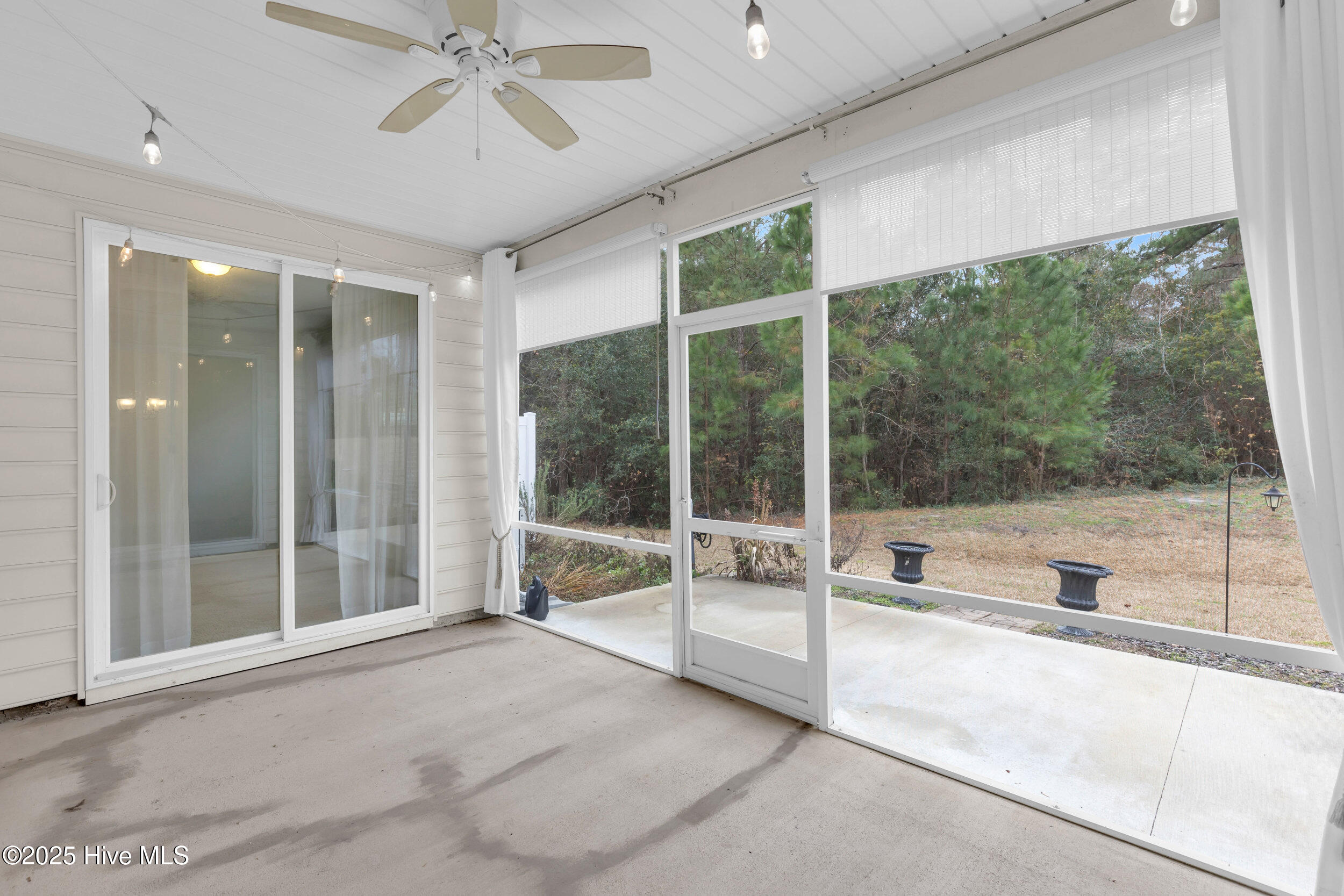 100546180 | Photo 27