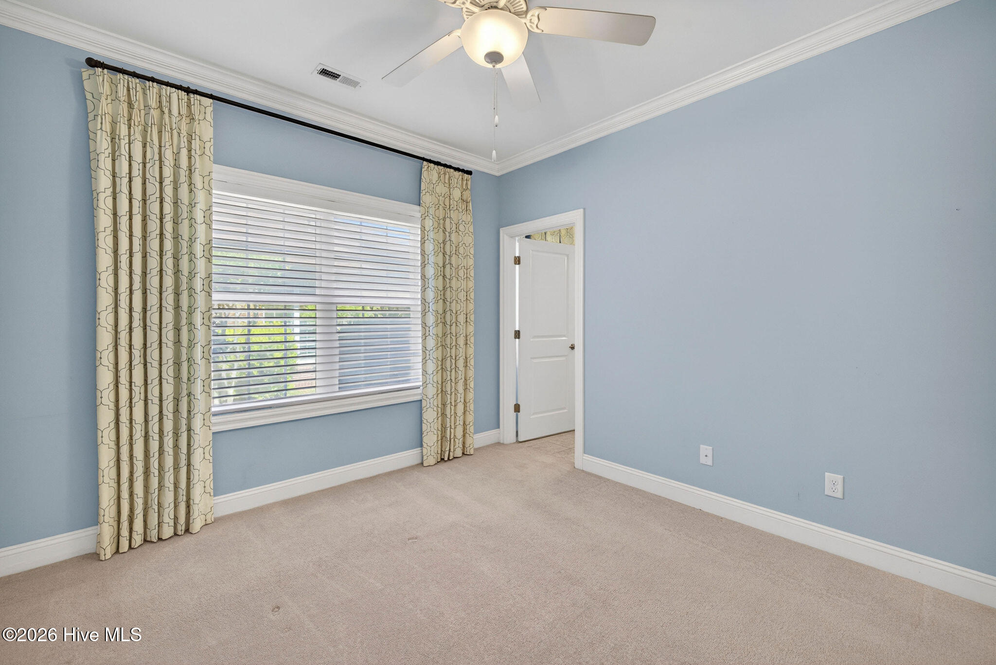 100566278 | Photo 34