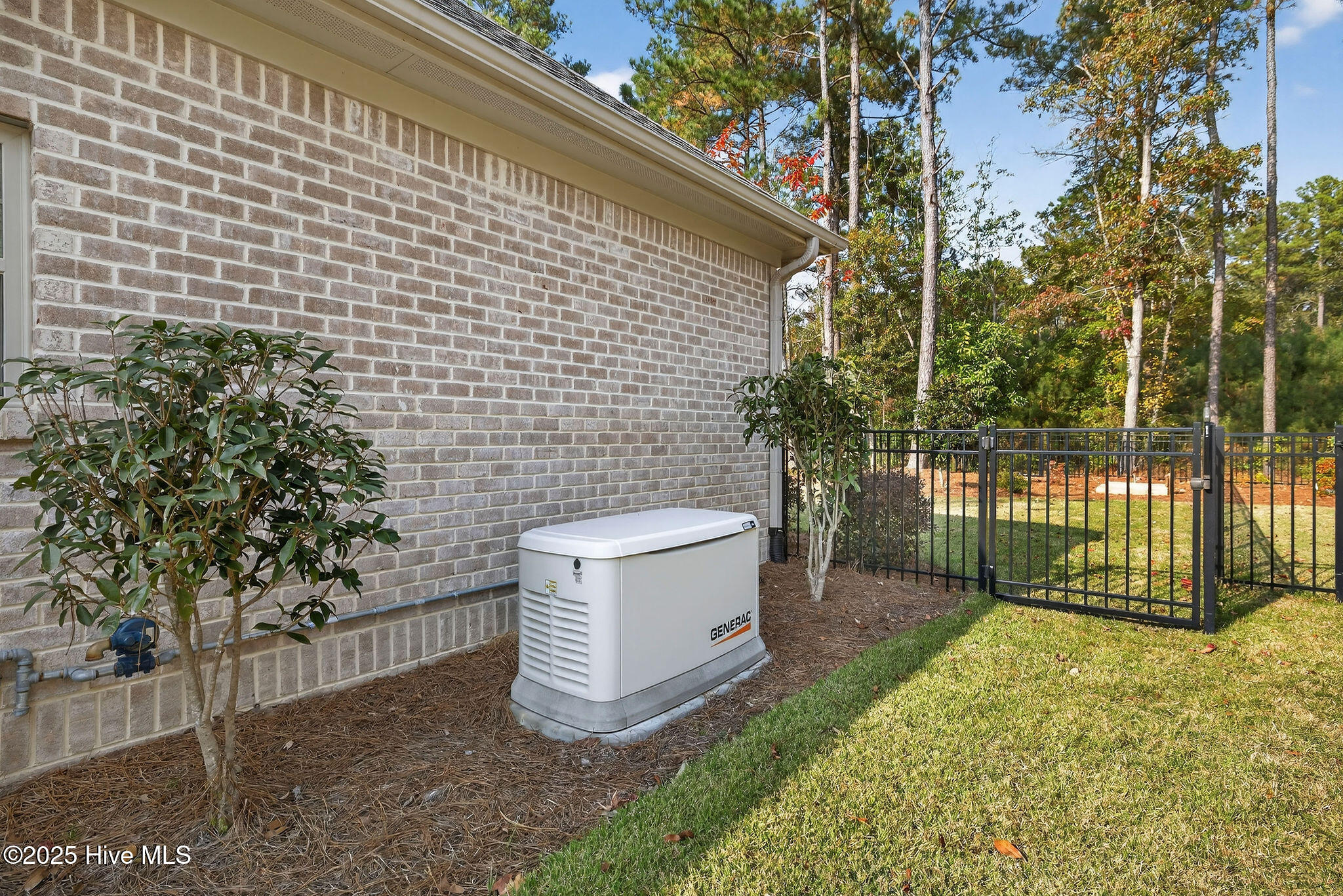 100543133 | Photo 43