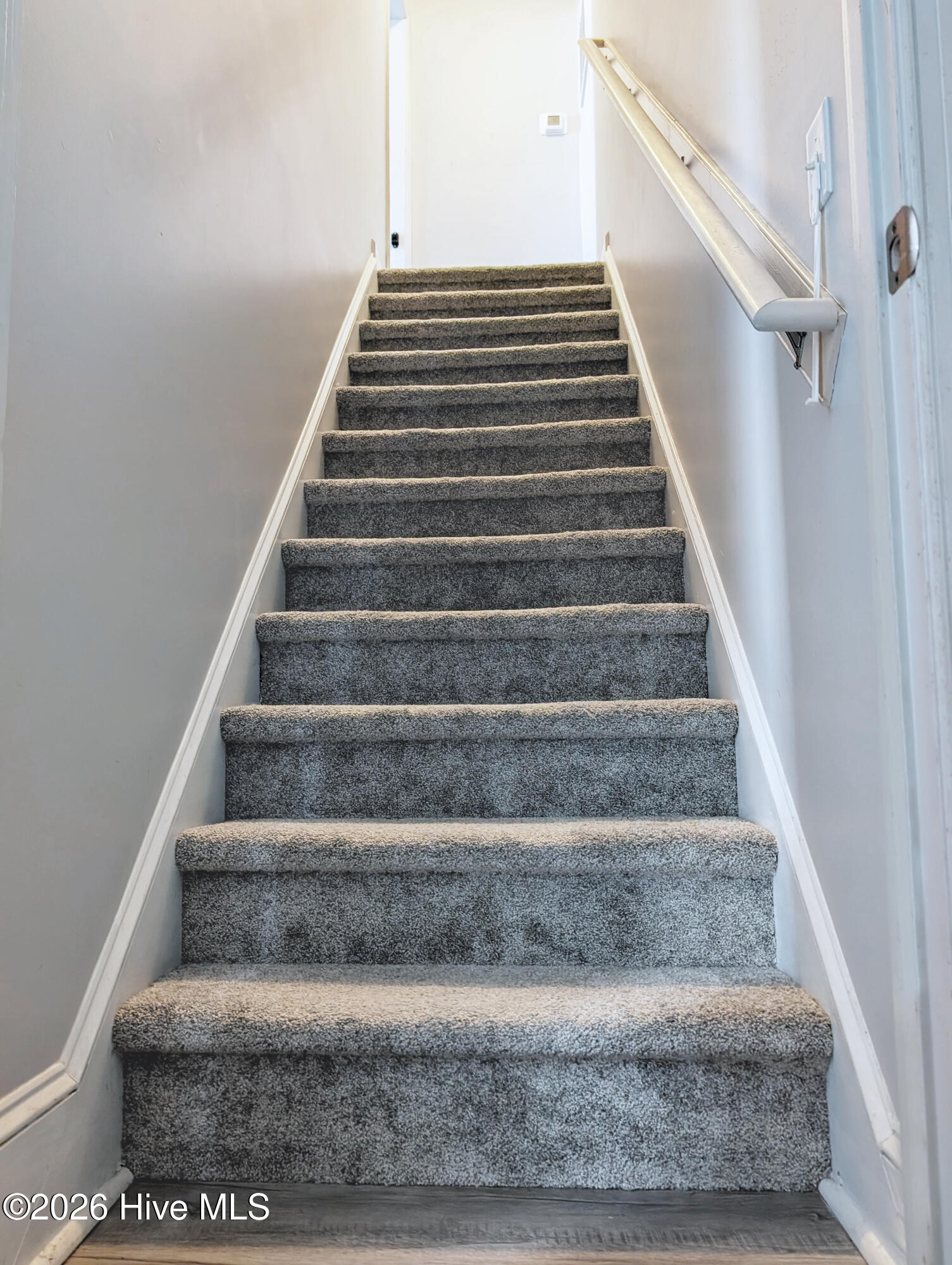 100564734 | Photo 67