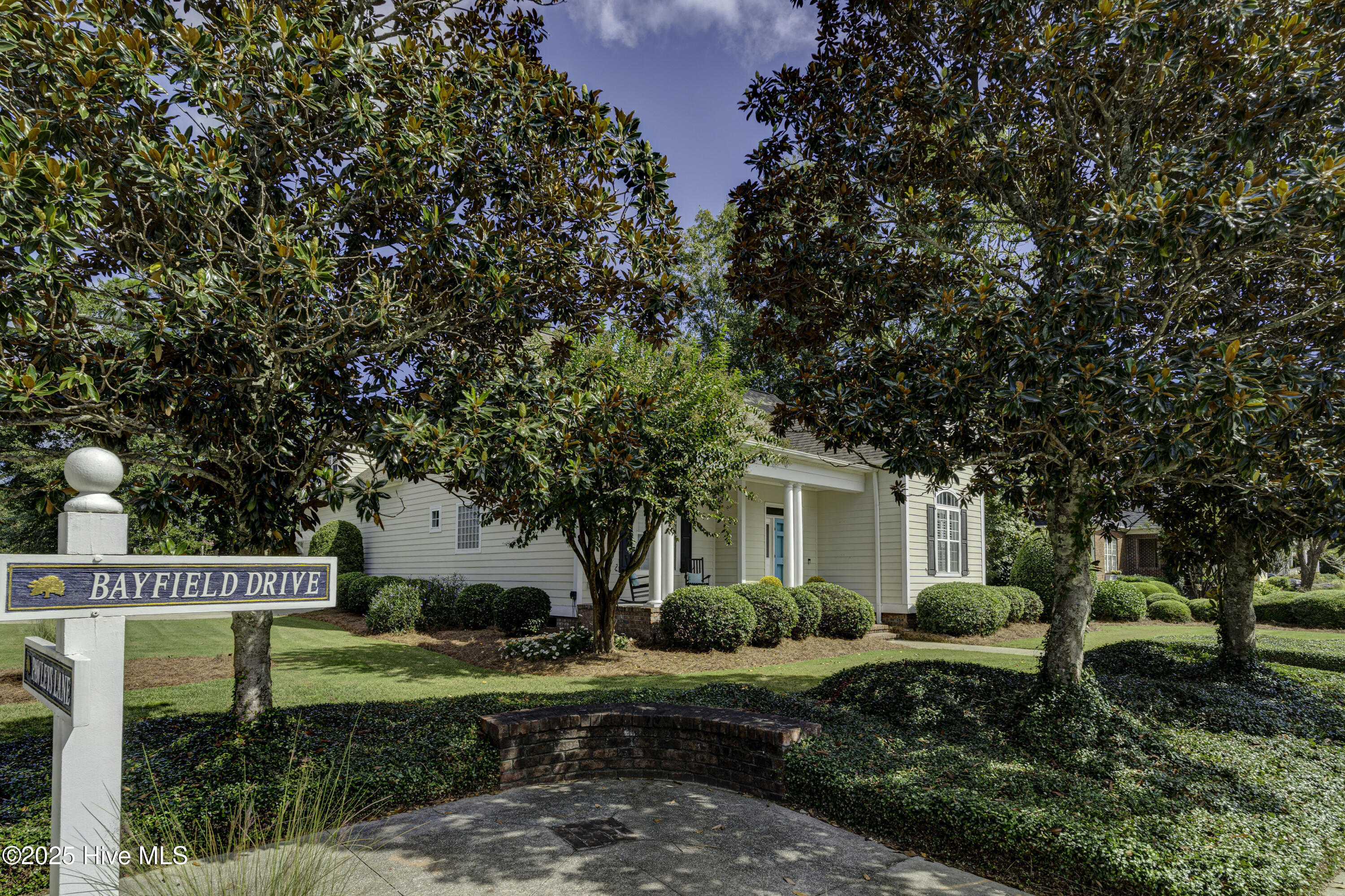 100535158 | Photo 67