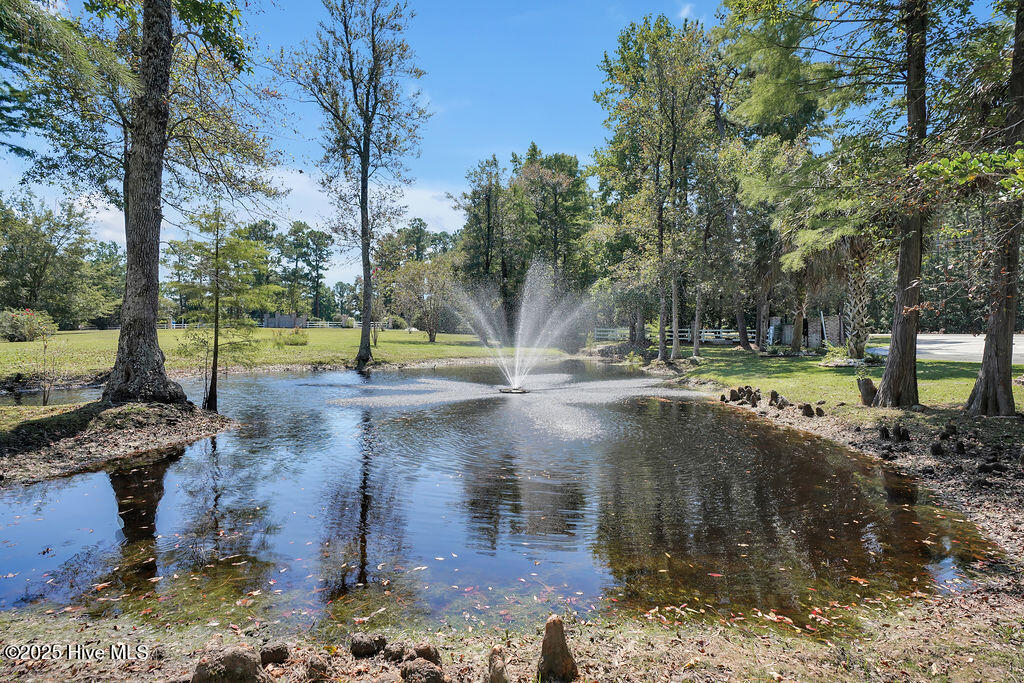 100529552 | Photo 57