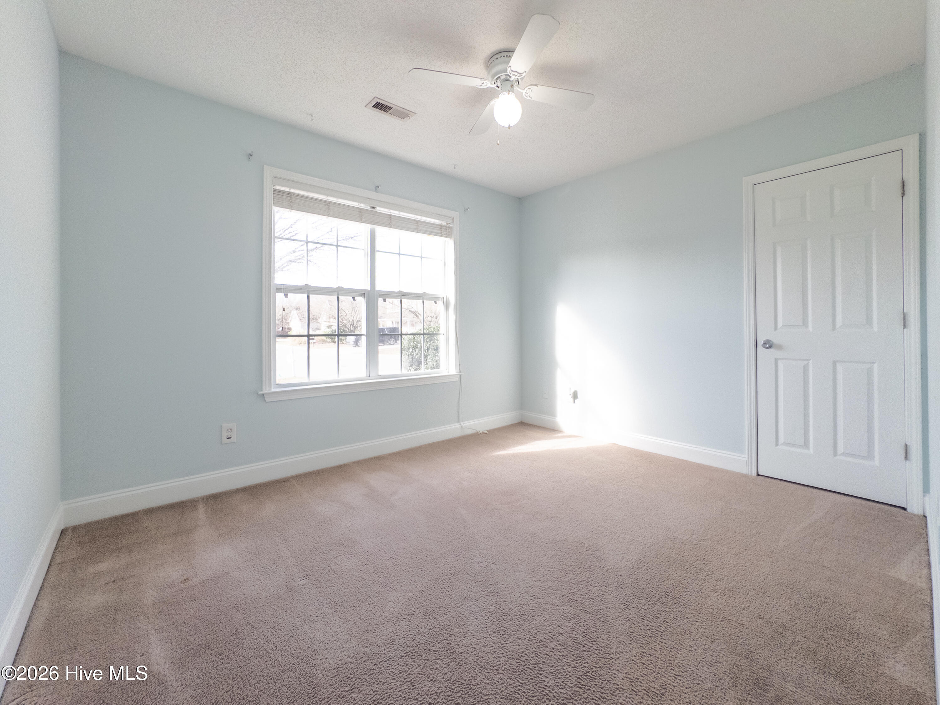 100558413 | Photo 17