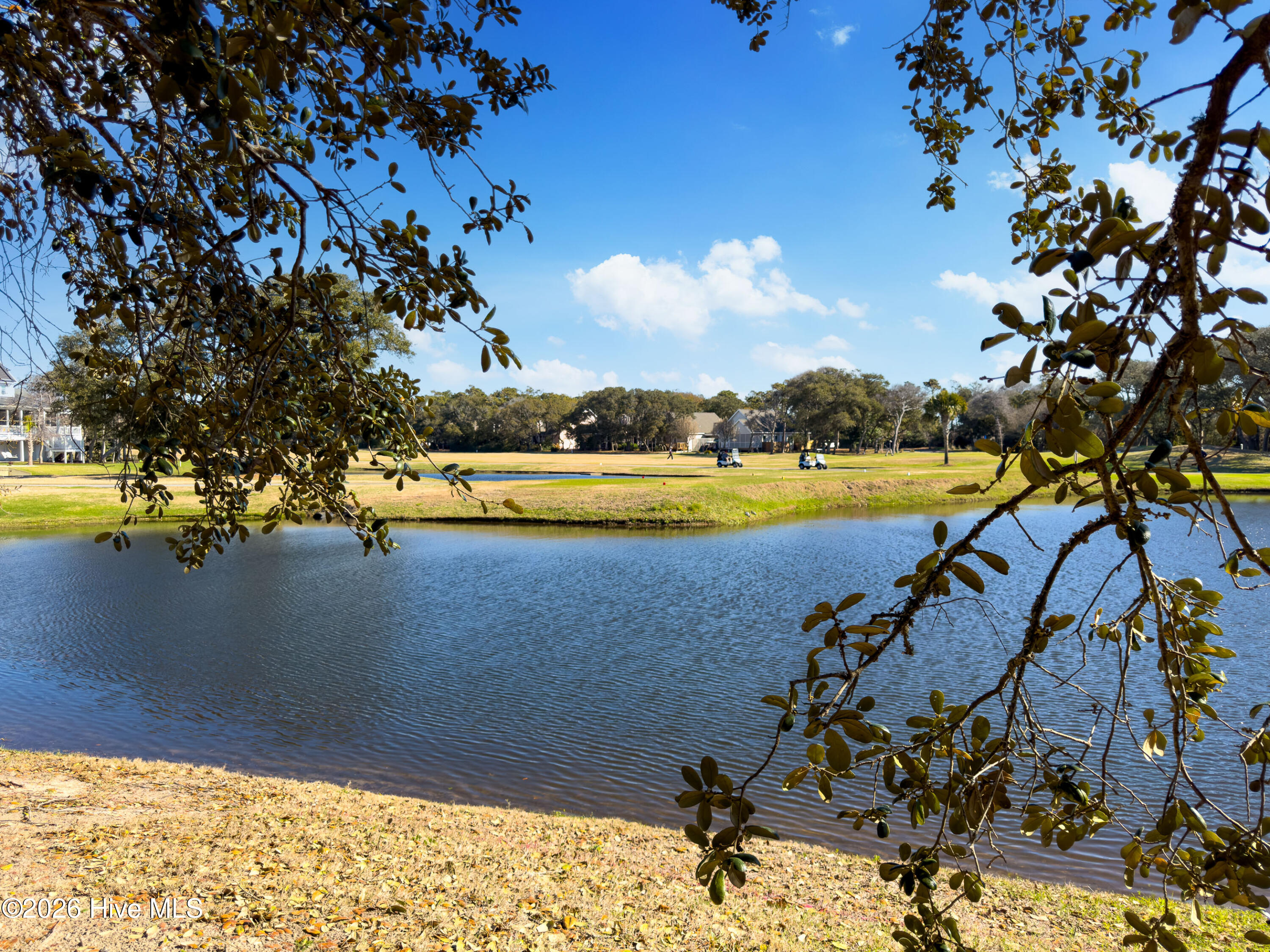 100561643 | Photo 56