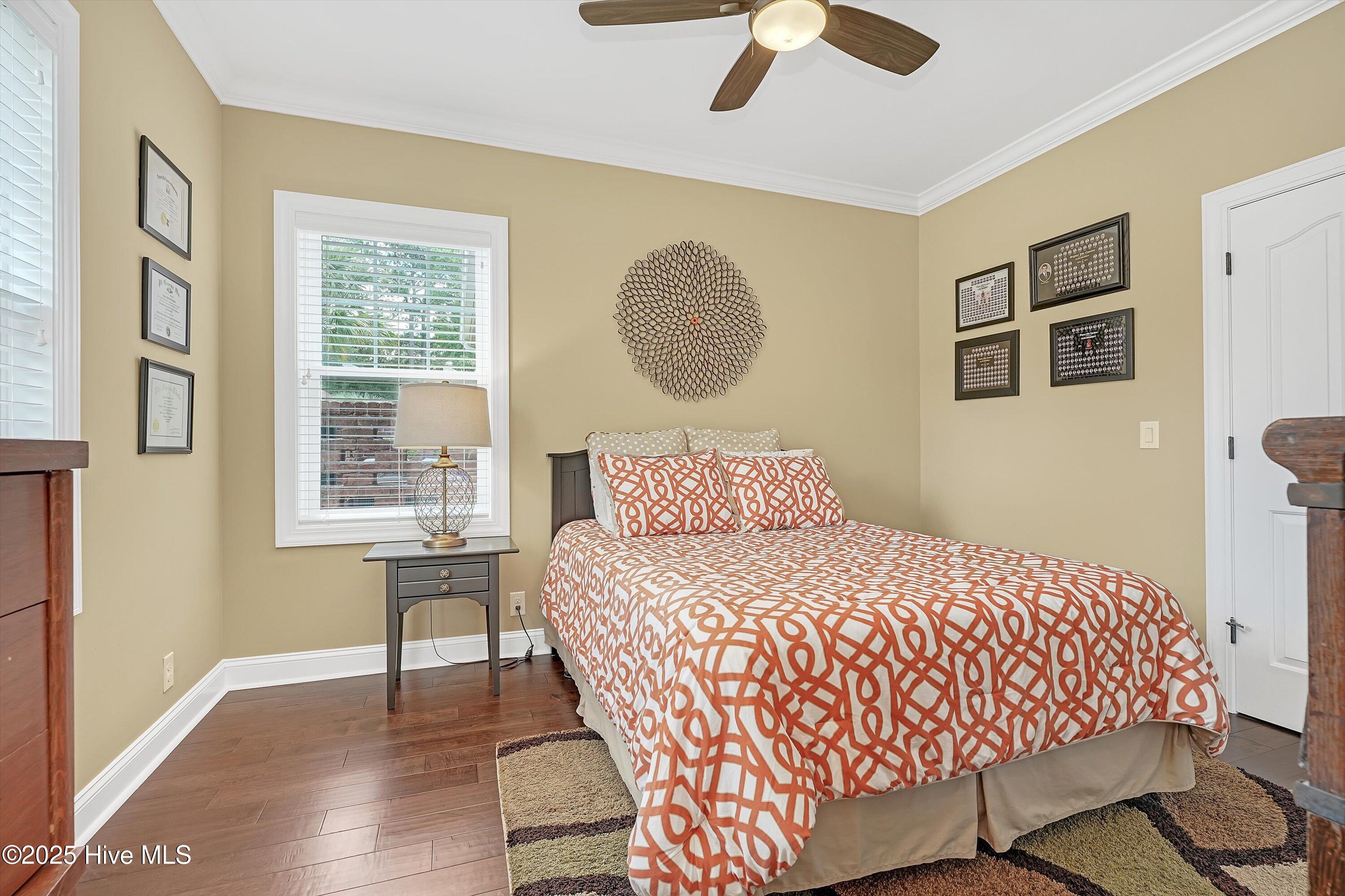 100528105 | Photo 27