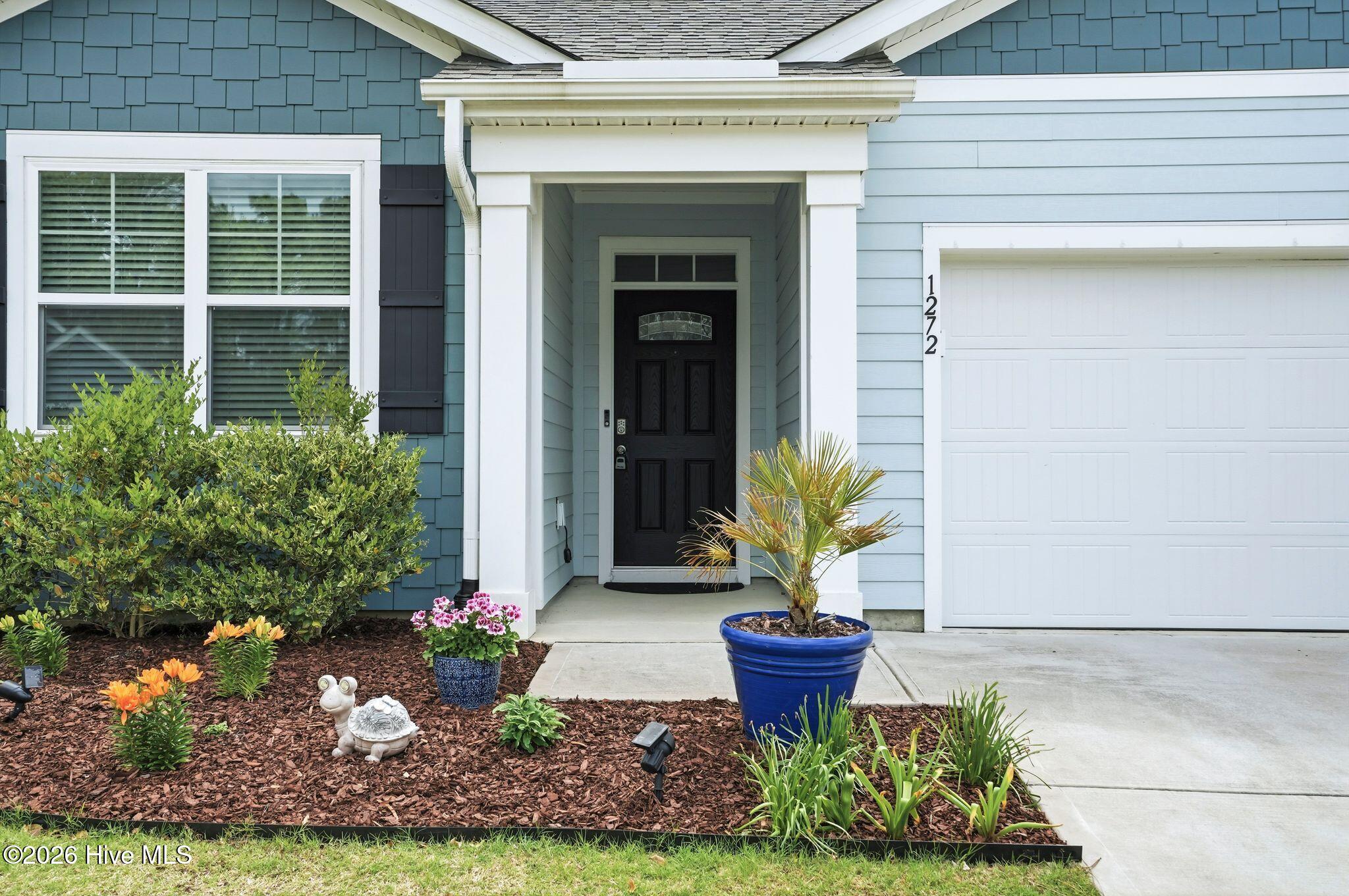 100531826 | Photo 102