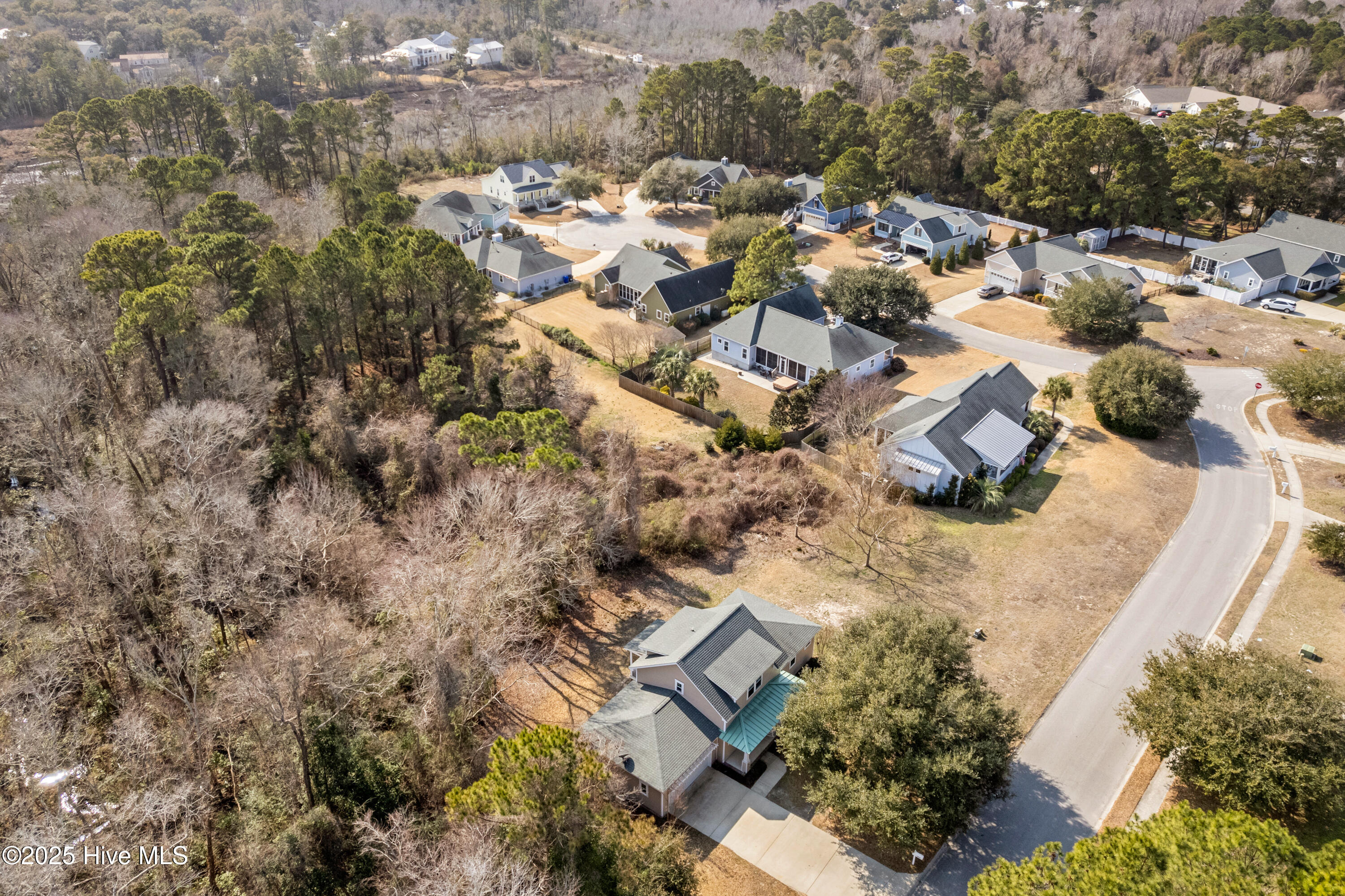 100529513 | Photo 50