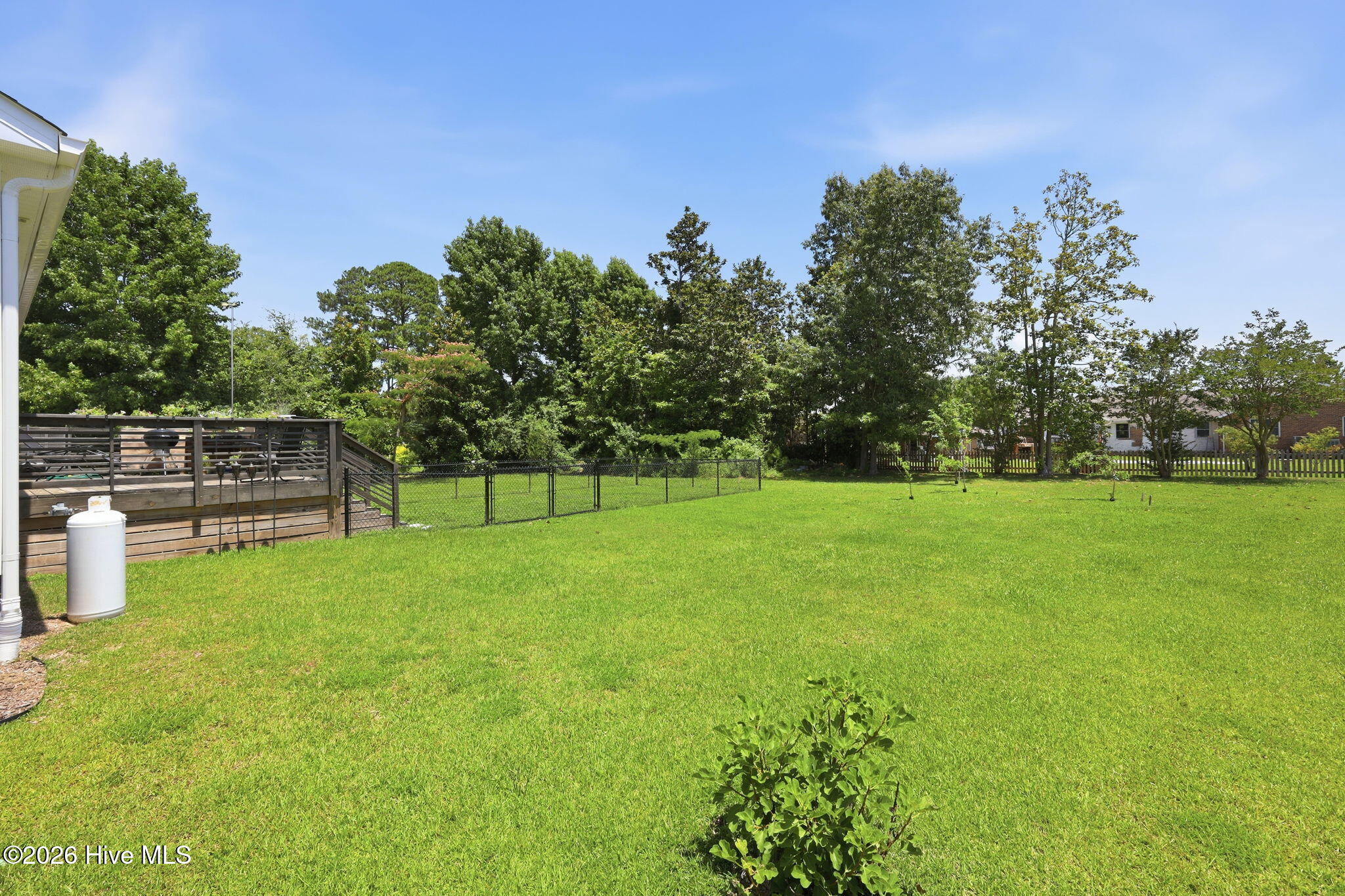 1106 Link Lane,Oriental