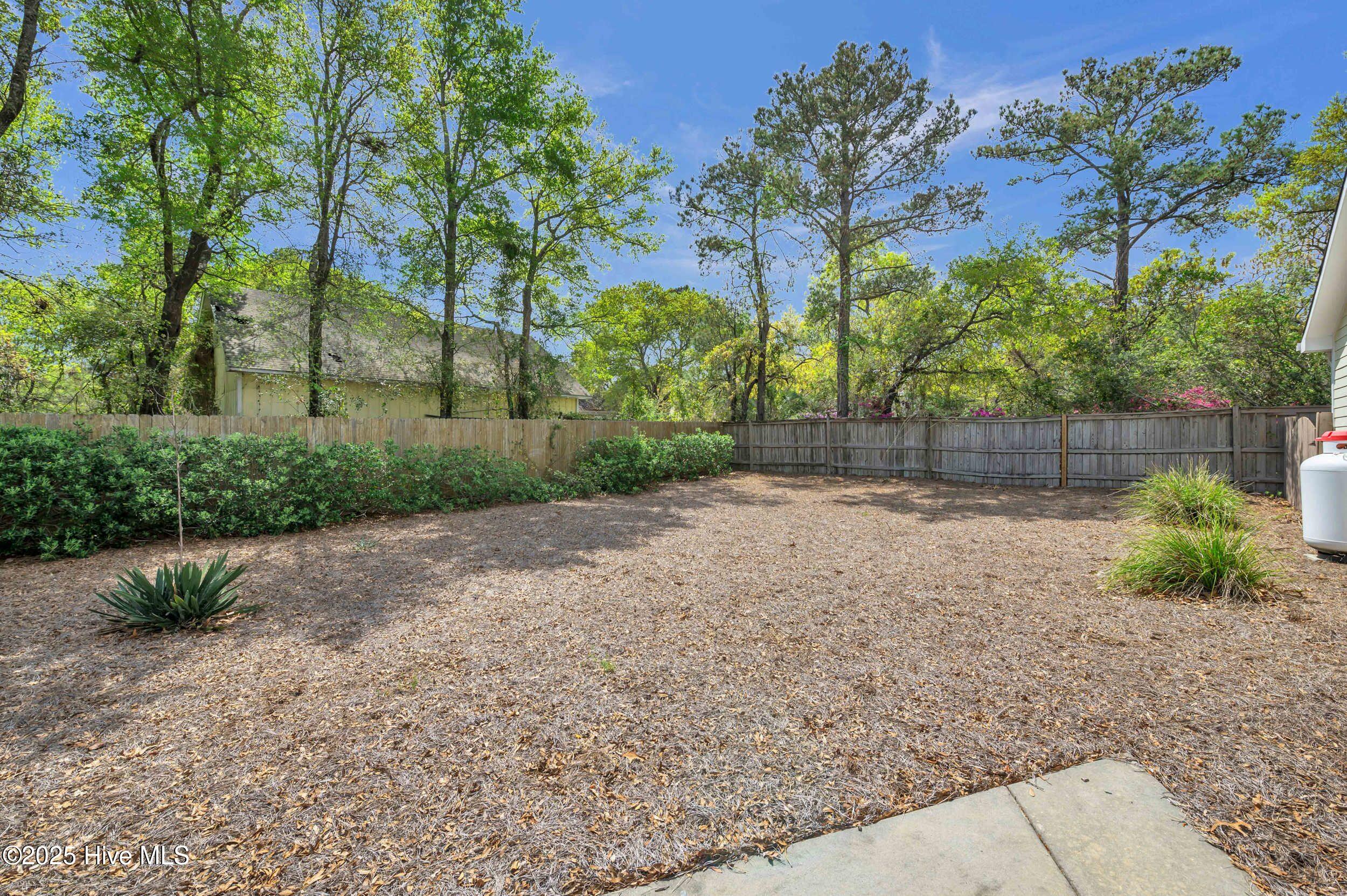 100499917 | Photo 16