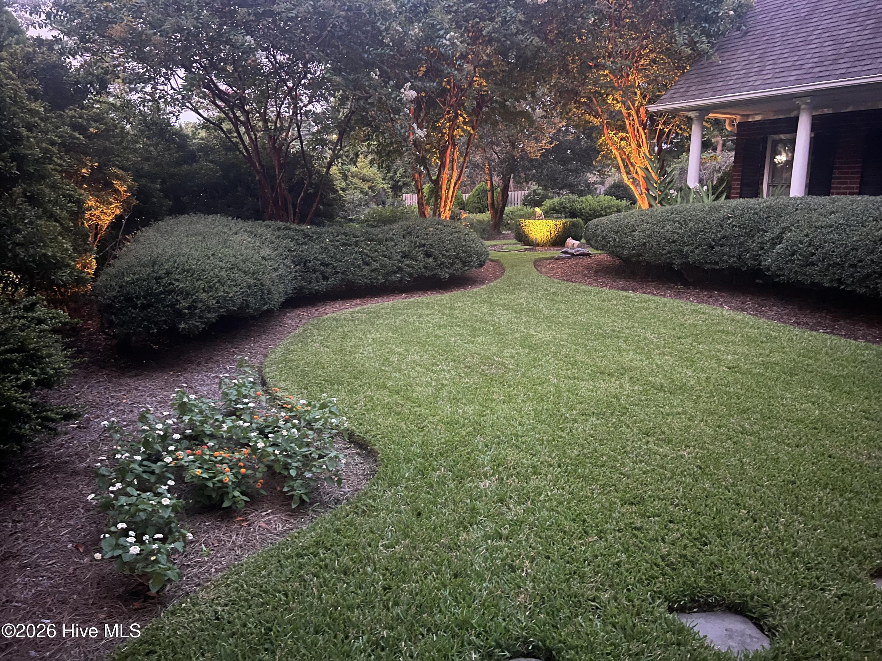 100556921 | Photo 54