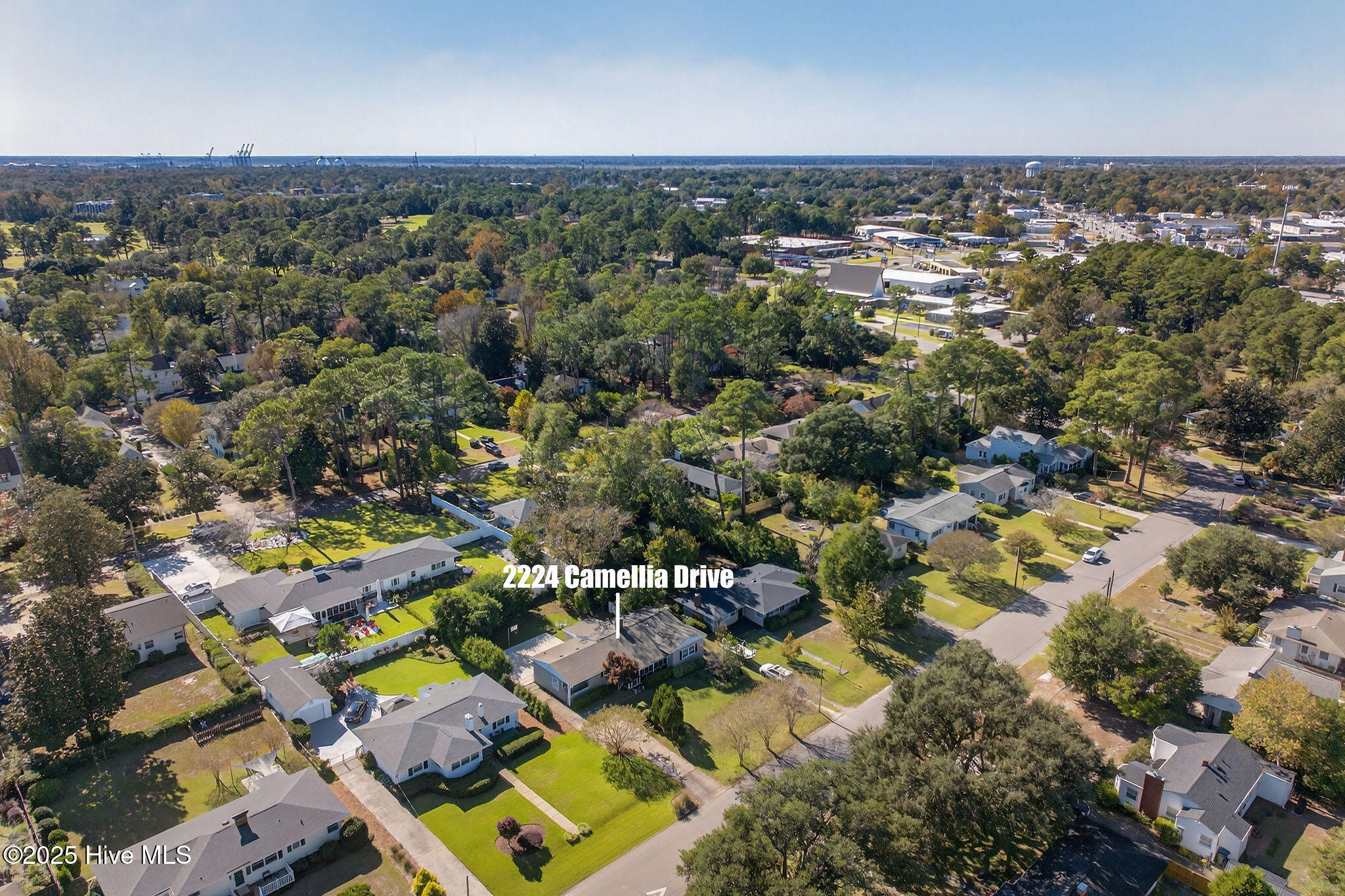 100539754 | Photo 42