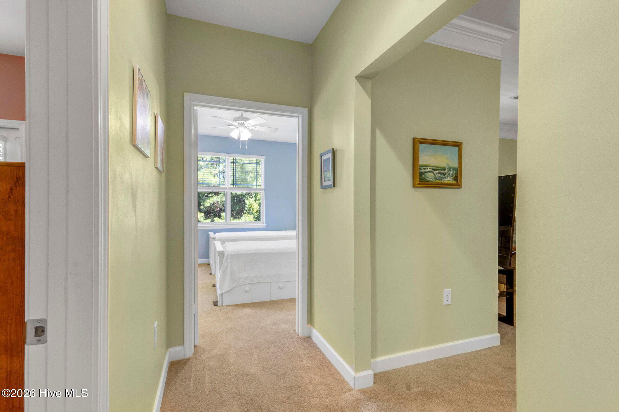 100548445 | Photo 11