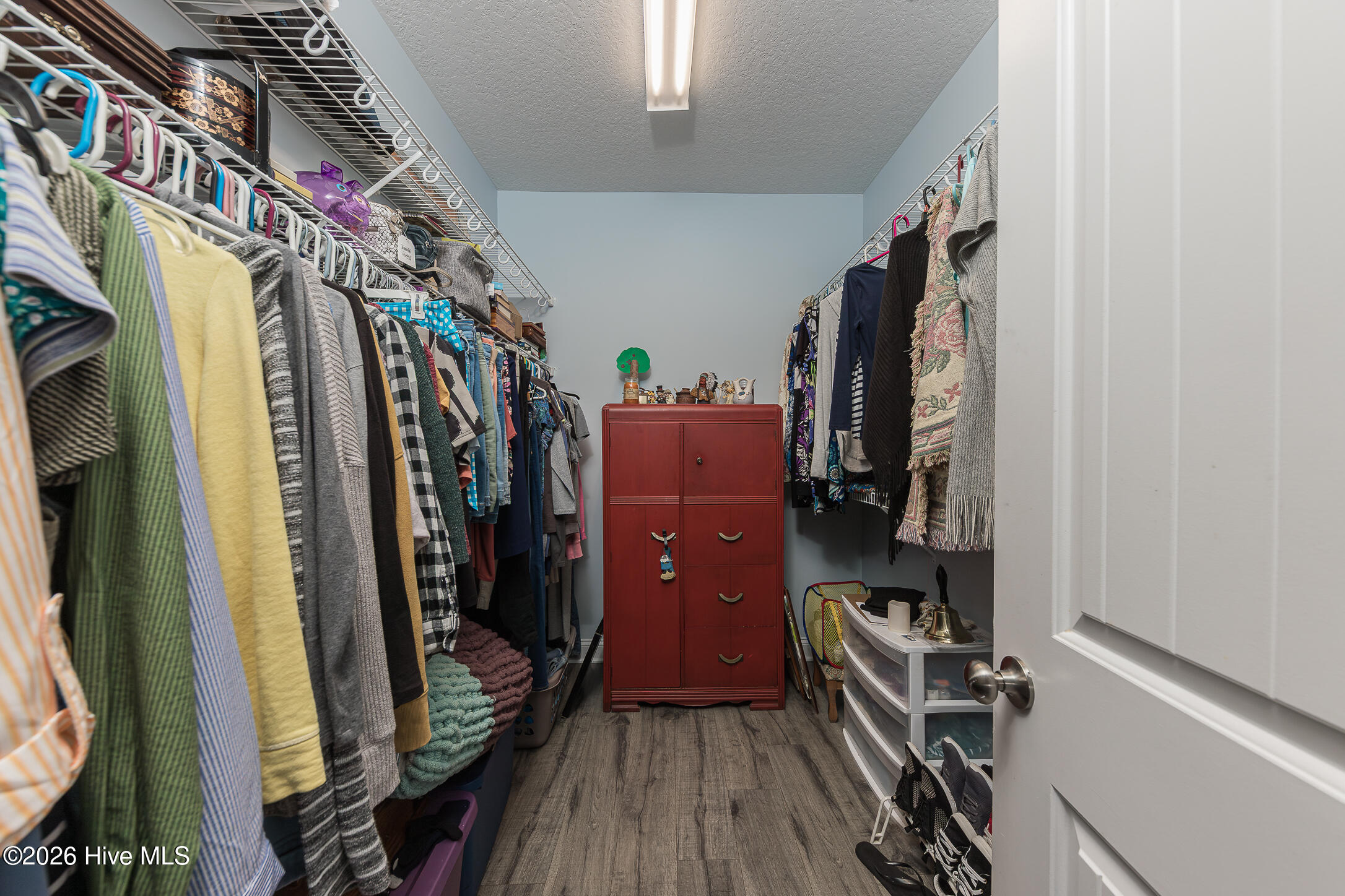 100556125 | Photo 26