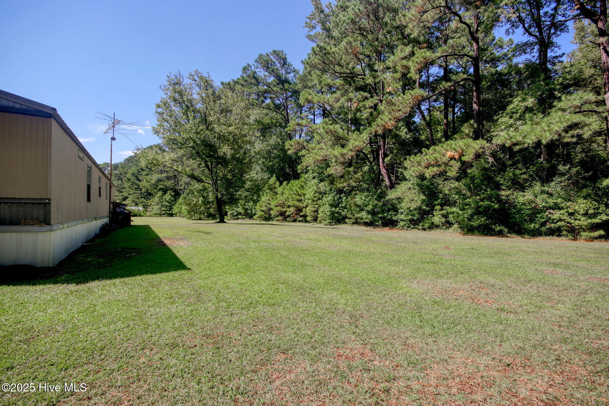 100568016 | Photo 16