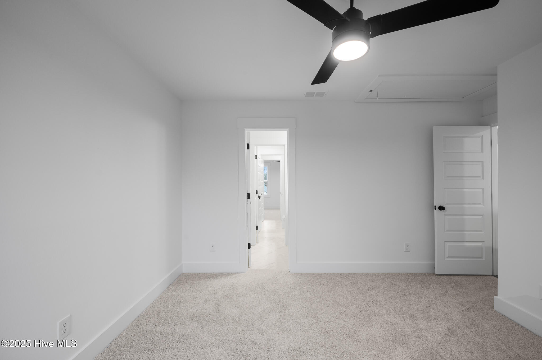 100507384 | Photo 39