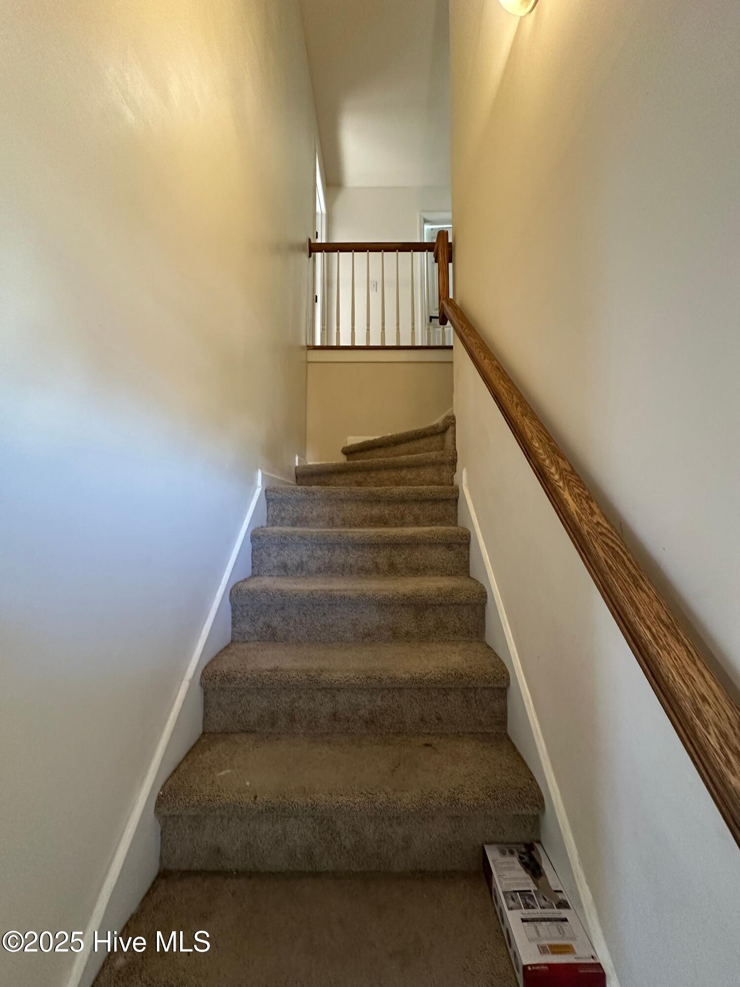 100545130 | Photo 15