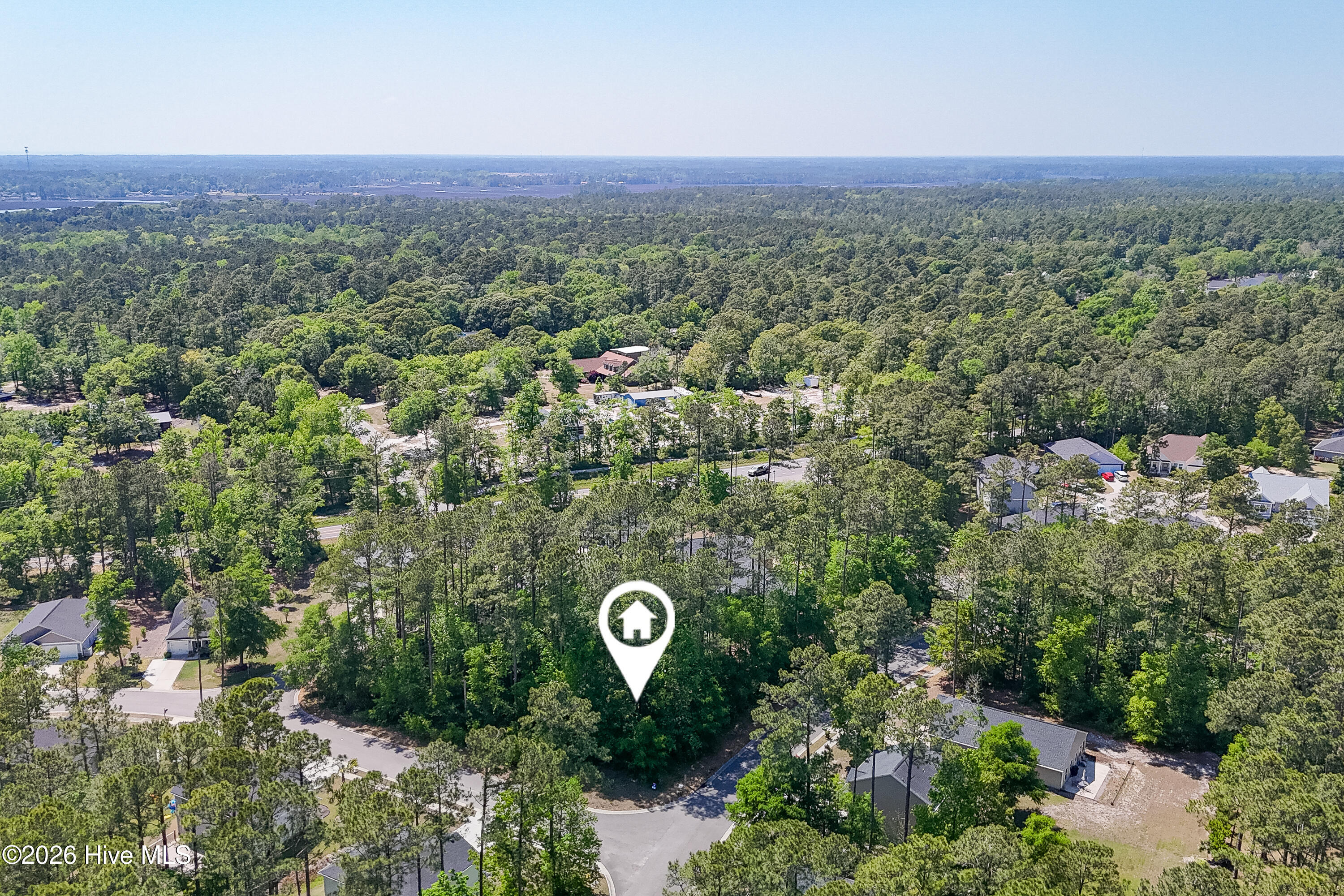 100569984 | Photo 15