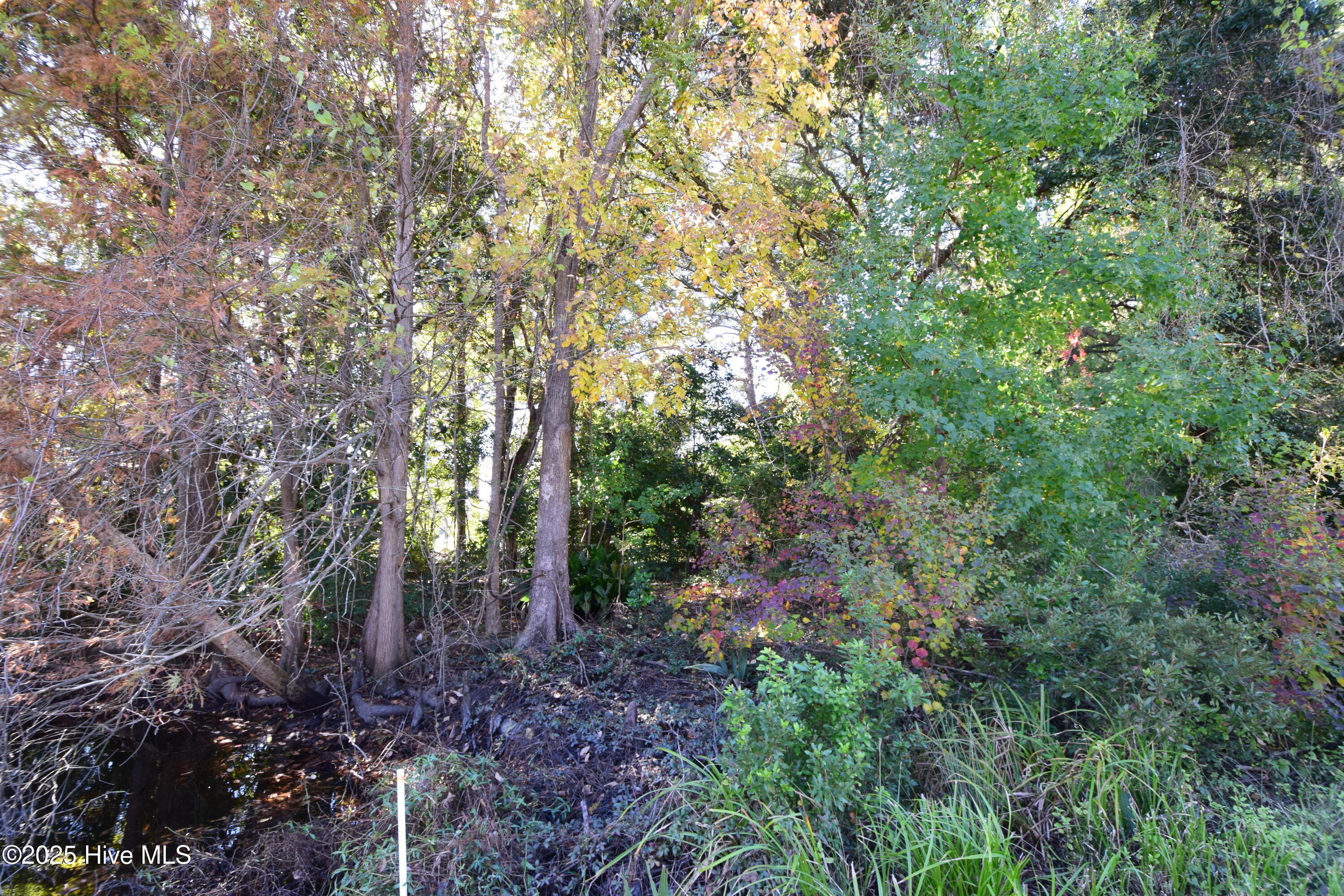 246 Shoreline Drive, New Bern, NC, 28562