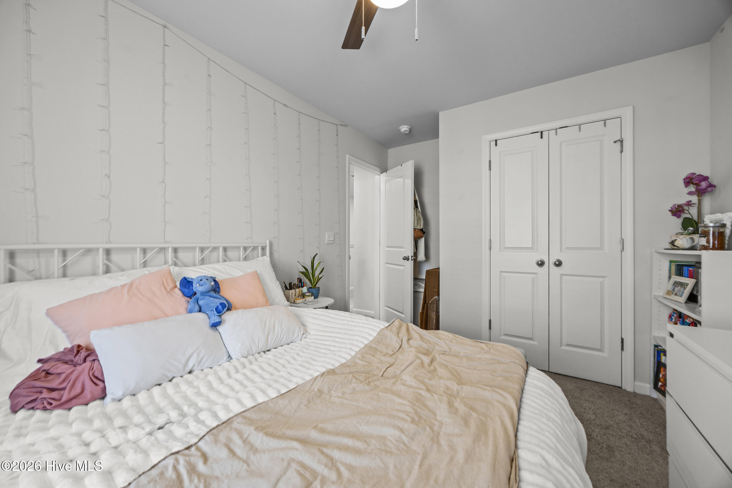 100554474 | Photo 28