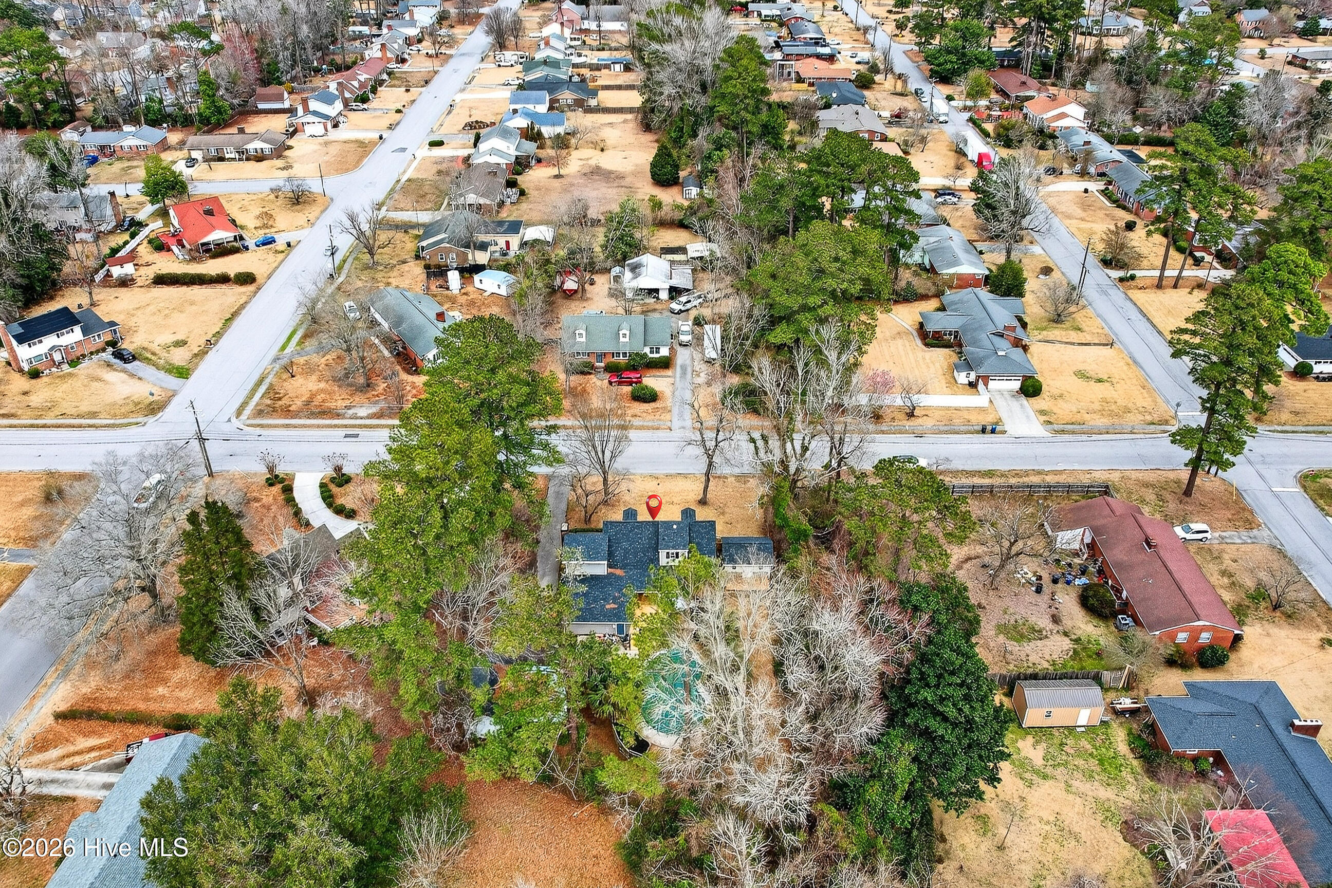 100558512 | Photo 42