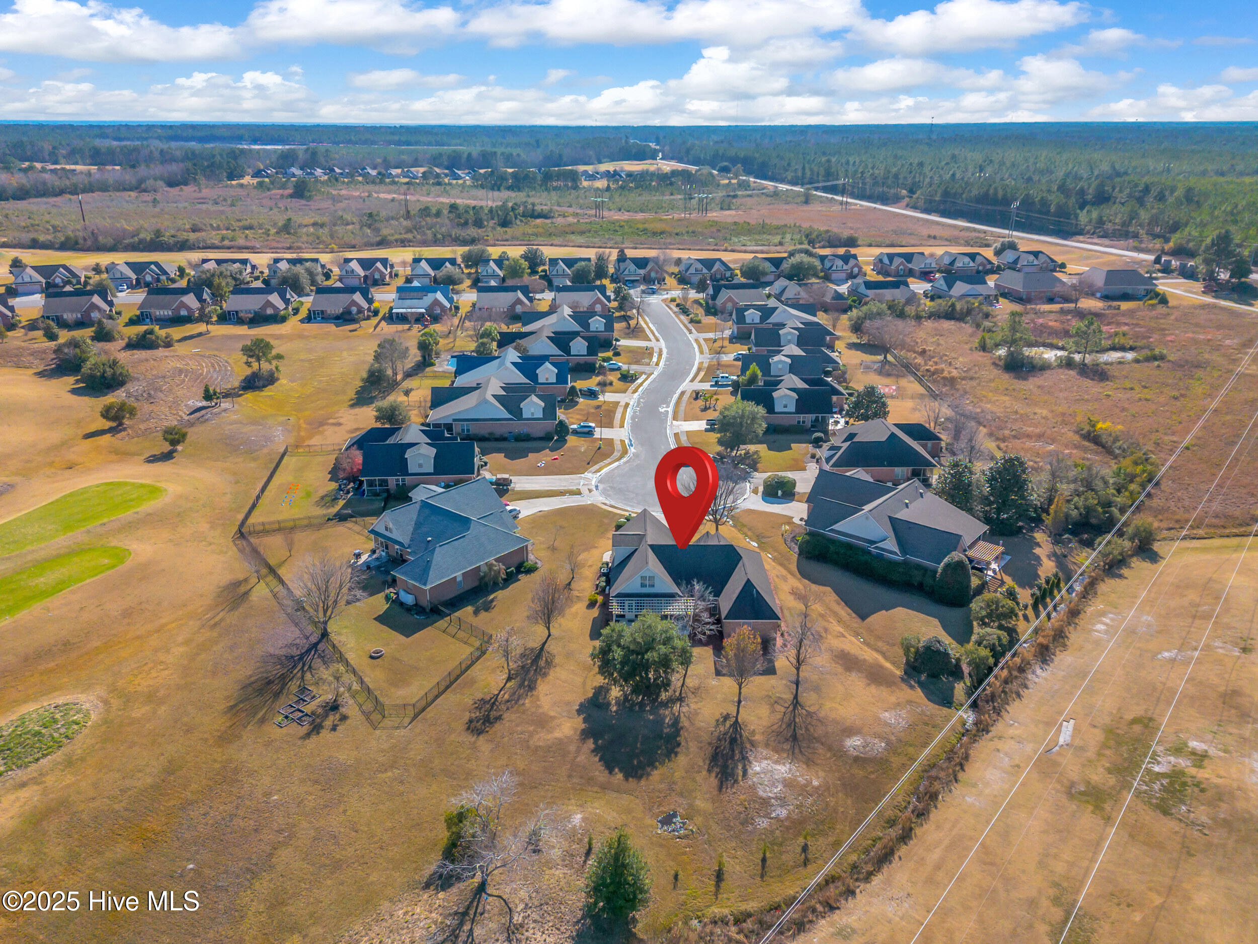 100543526 | Photo 61