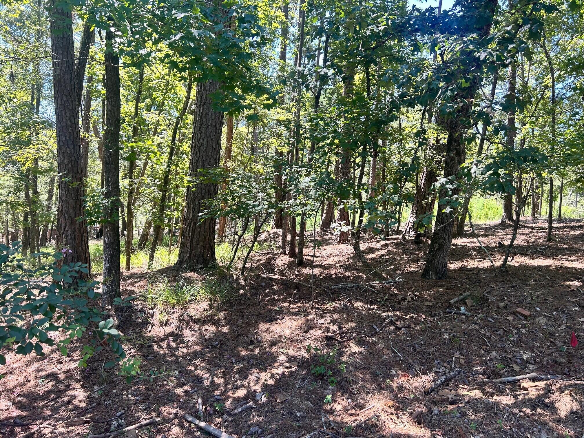 3rd image of 1109 Castle Rd, Grovetown, GA 30813 | MLS# 98224863