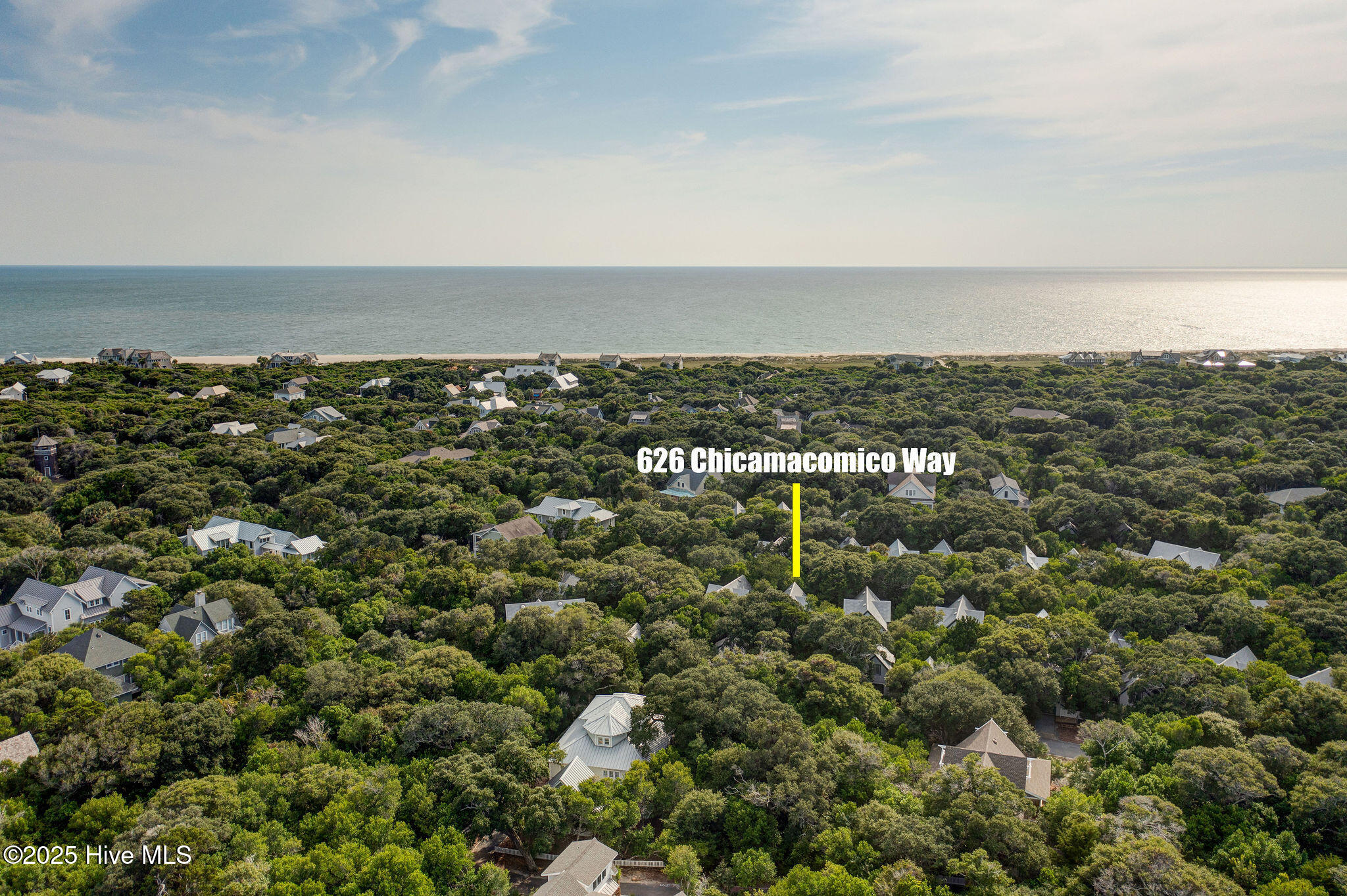 100531577 | Photo 46