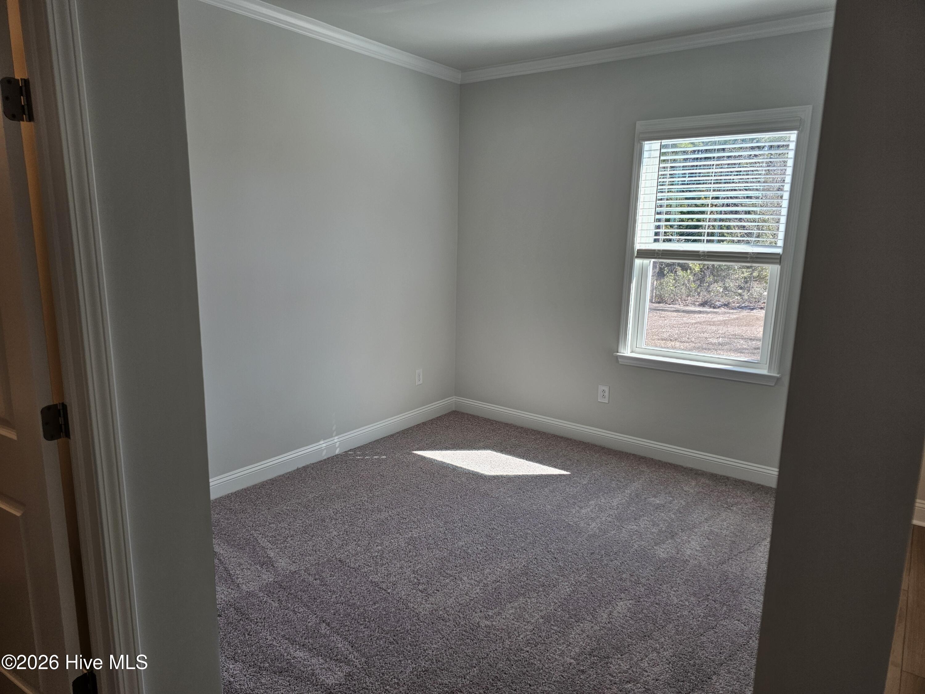 100531548 | Photo 25