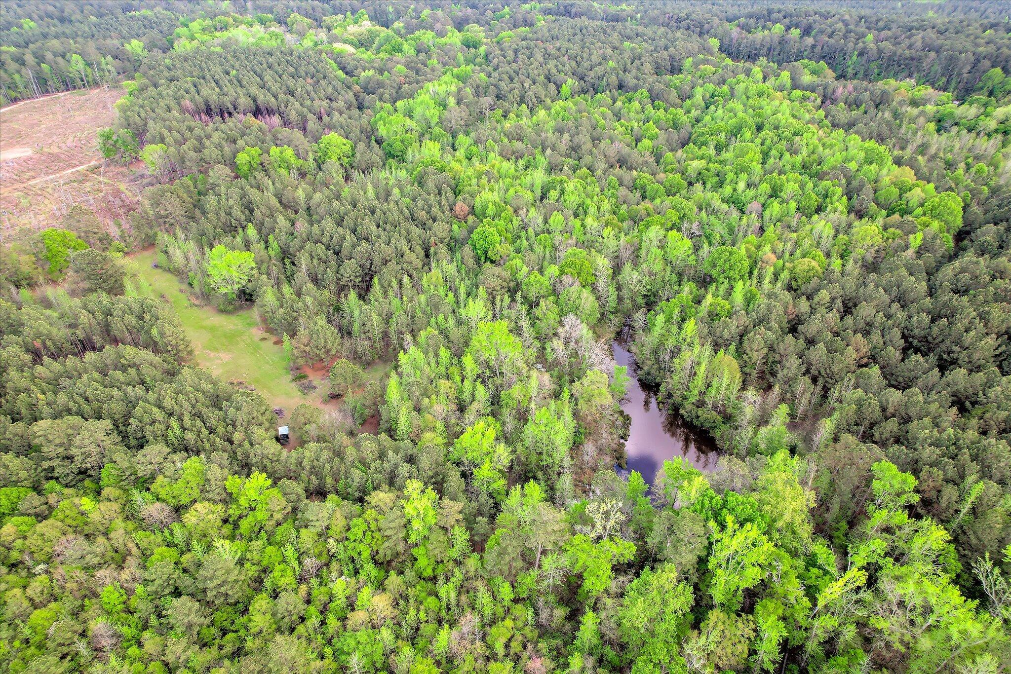 6995 Cobbham Road, Appling, GA, 30802