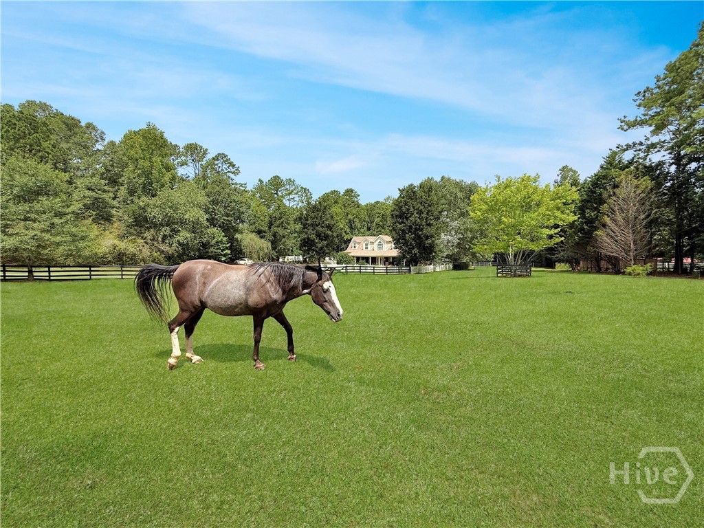 Bring your horses....