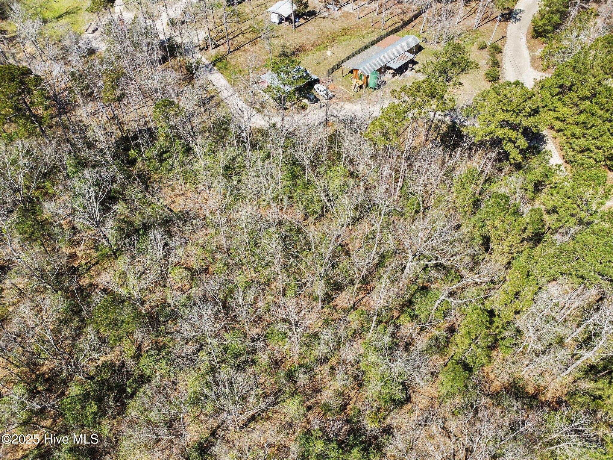 100493320 | Photo 10