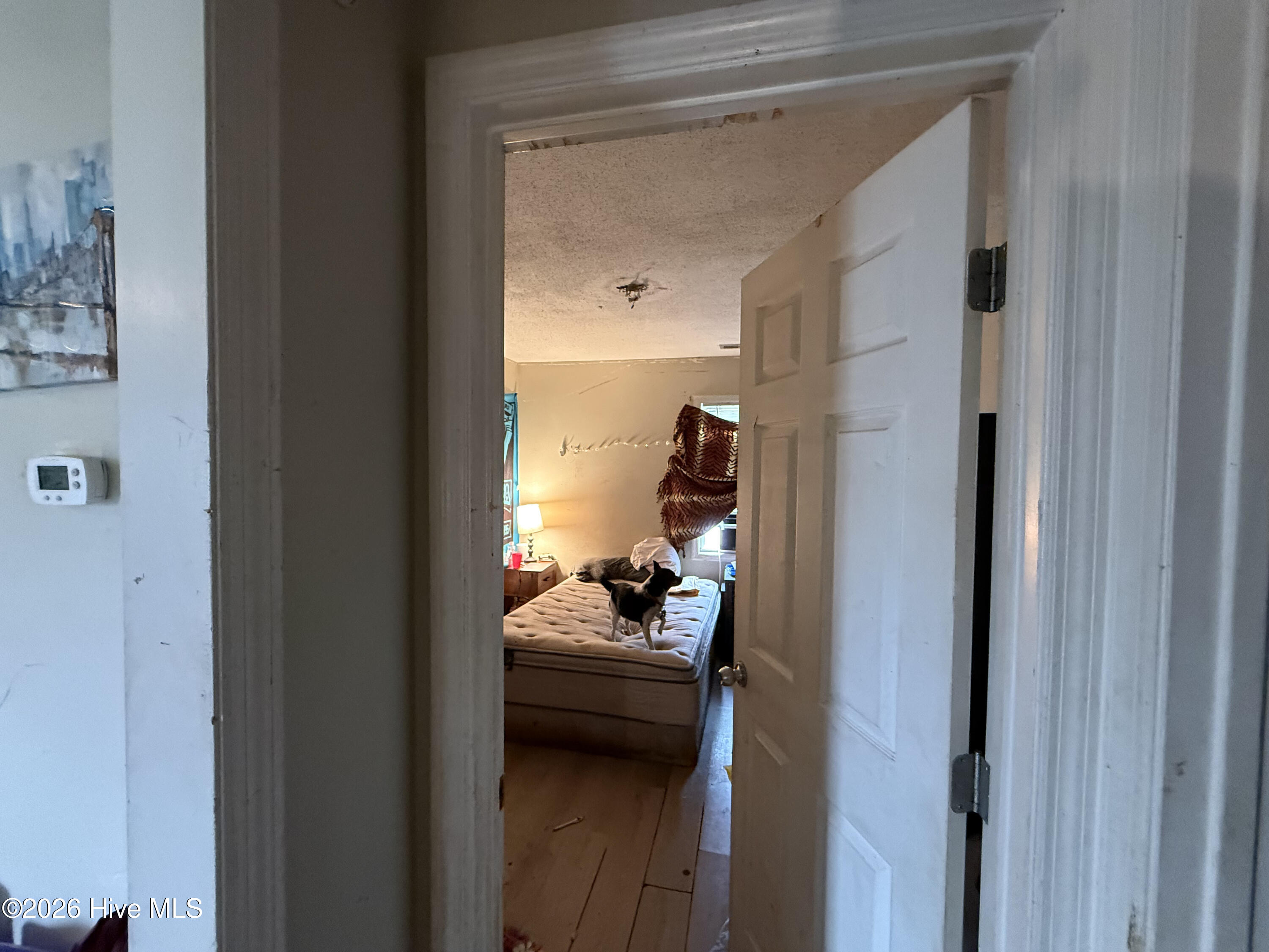 100562239 | Photo 36