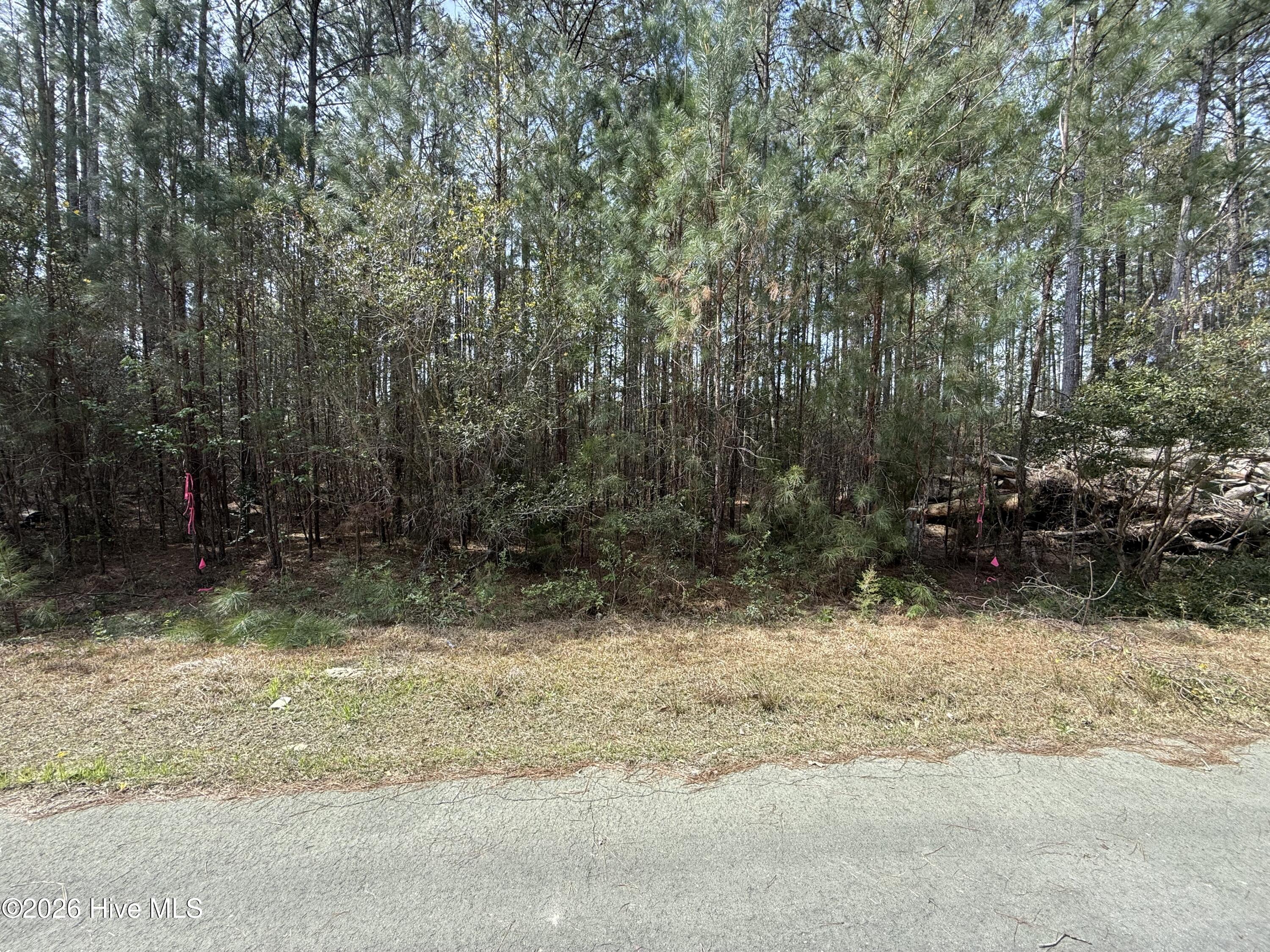 120 Water Oak, Oriental, North Carolina, 0 ,Residential land,For sale,Water Oak,100561372