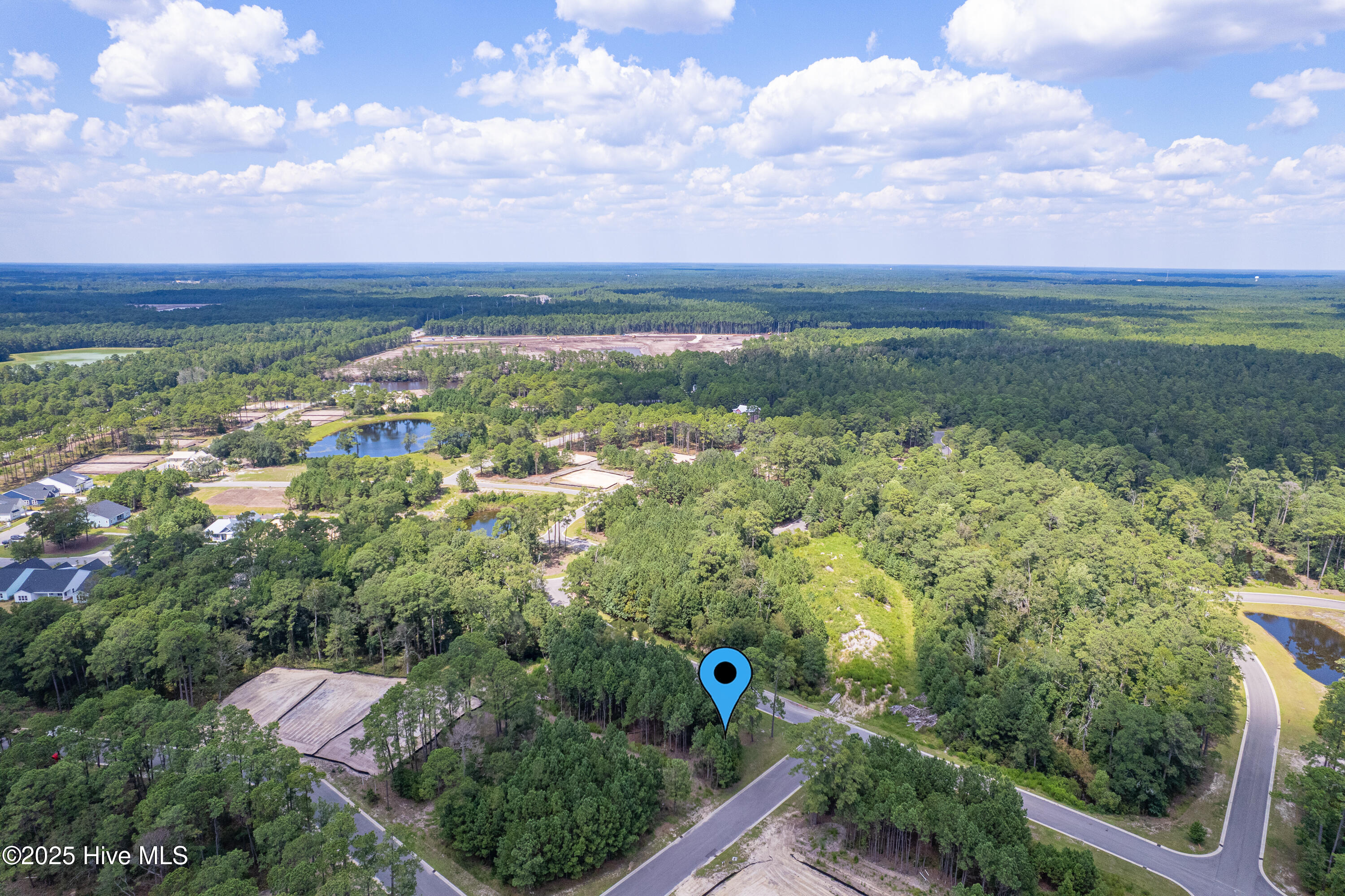 100524221 | Photo 10