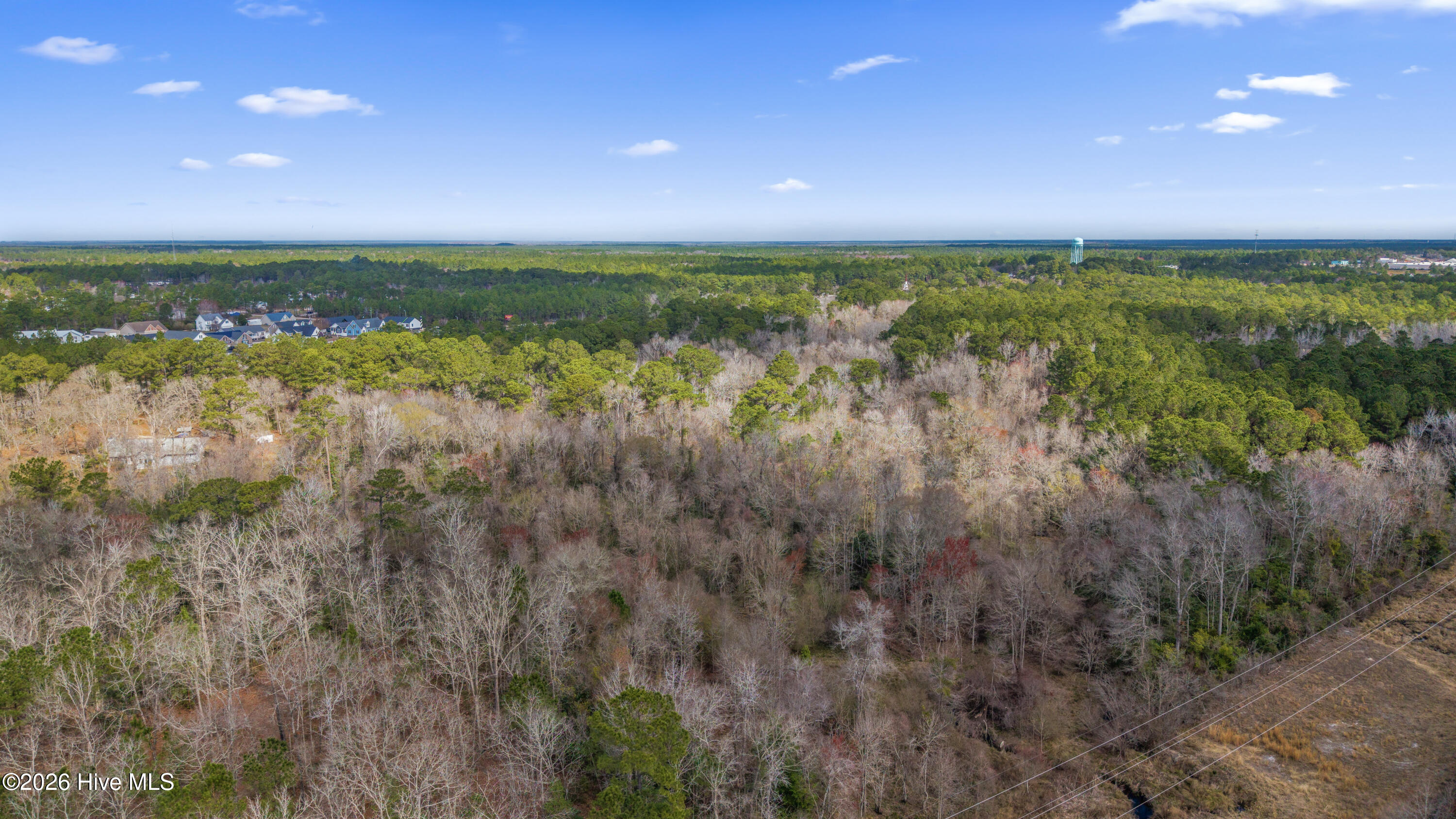 100557904 | Photo 45