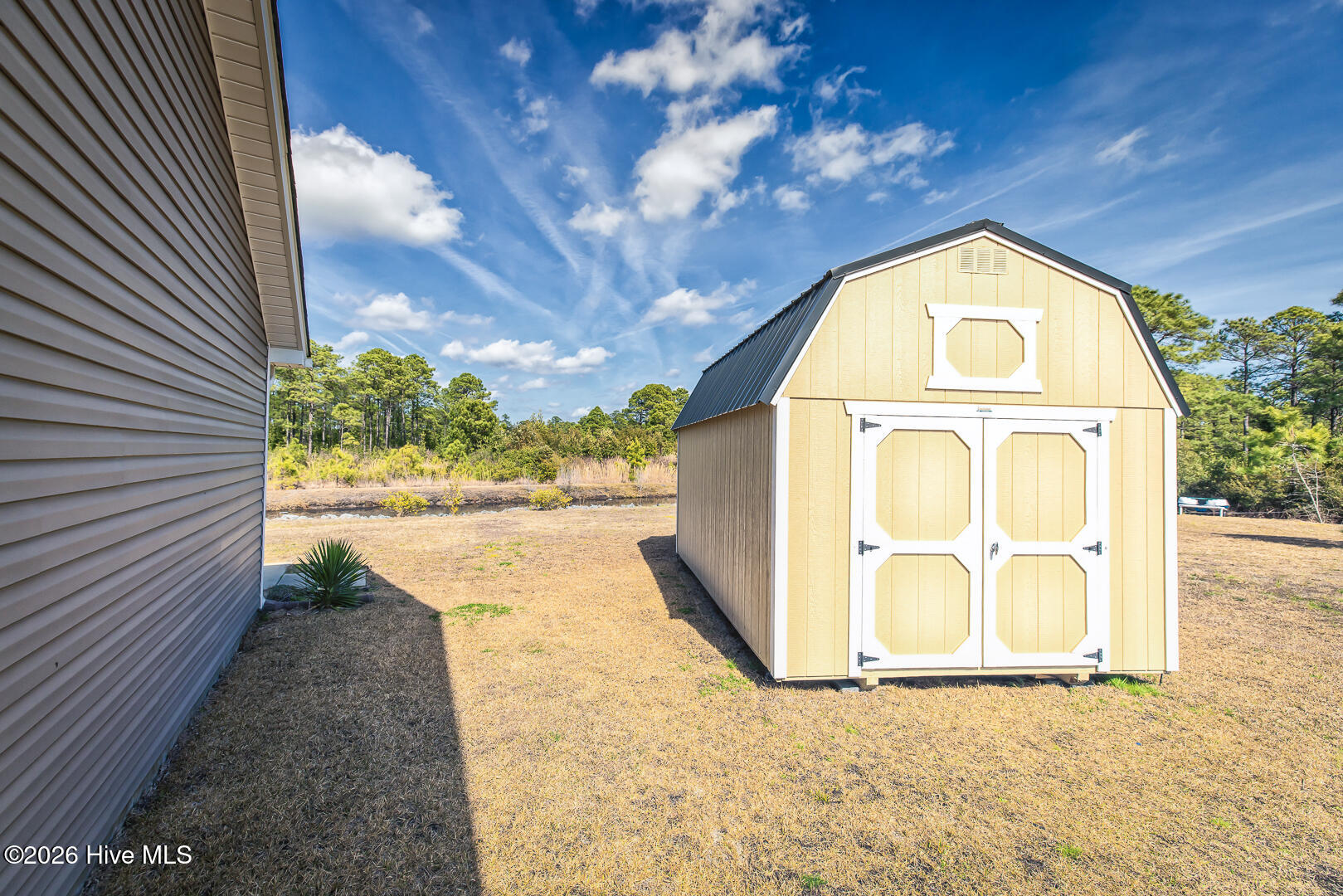 100558342 | Photo 38