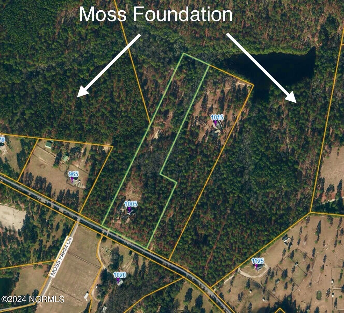 Aerial Plat... Property is surrounded by the Moss Foundation on 3 sides... Lots CANNOT be subdivided and NO ONE can ever build around property