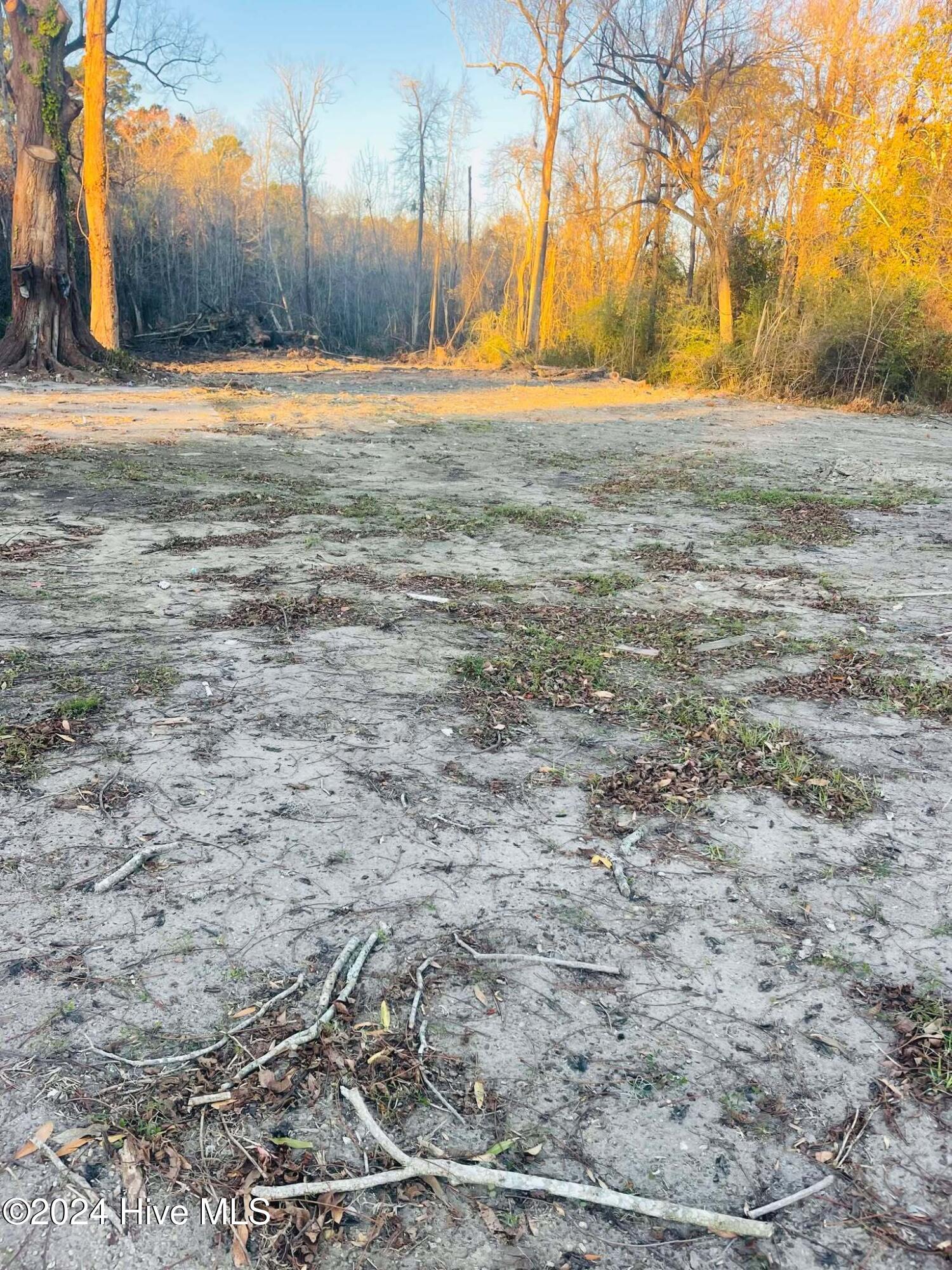 100550524 | Photo 17