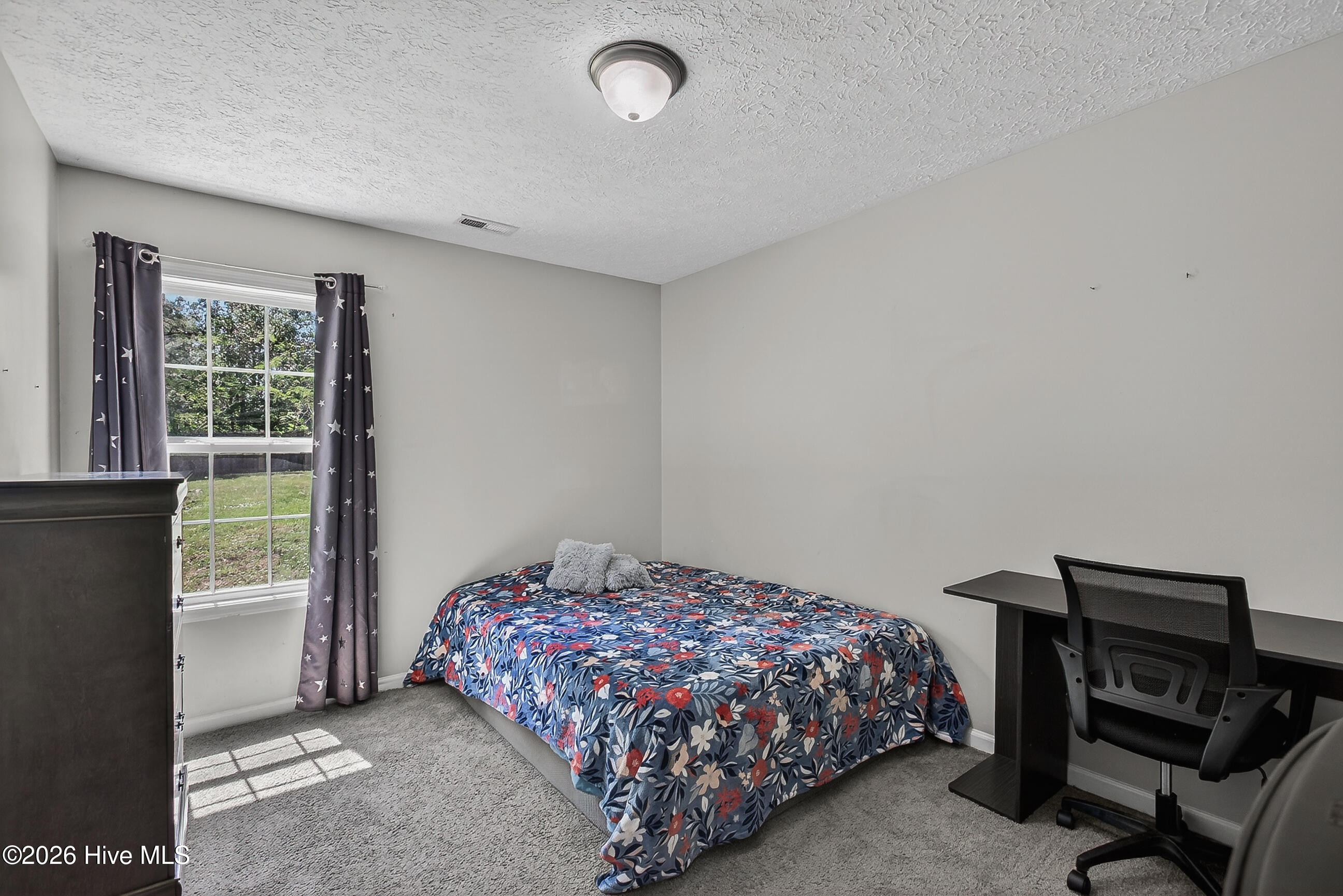 100569202 | Photo 17